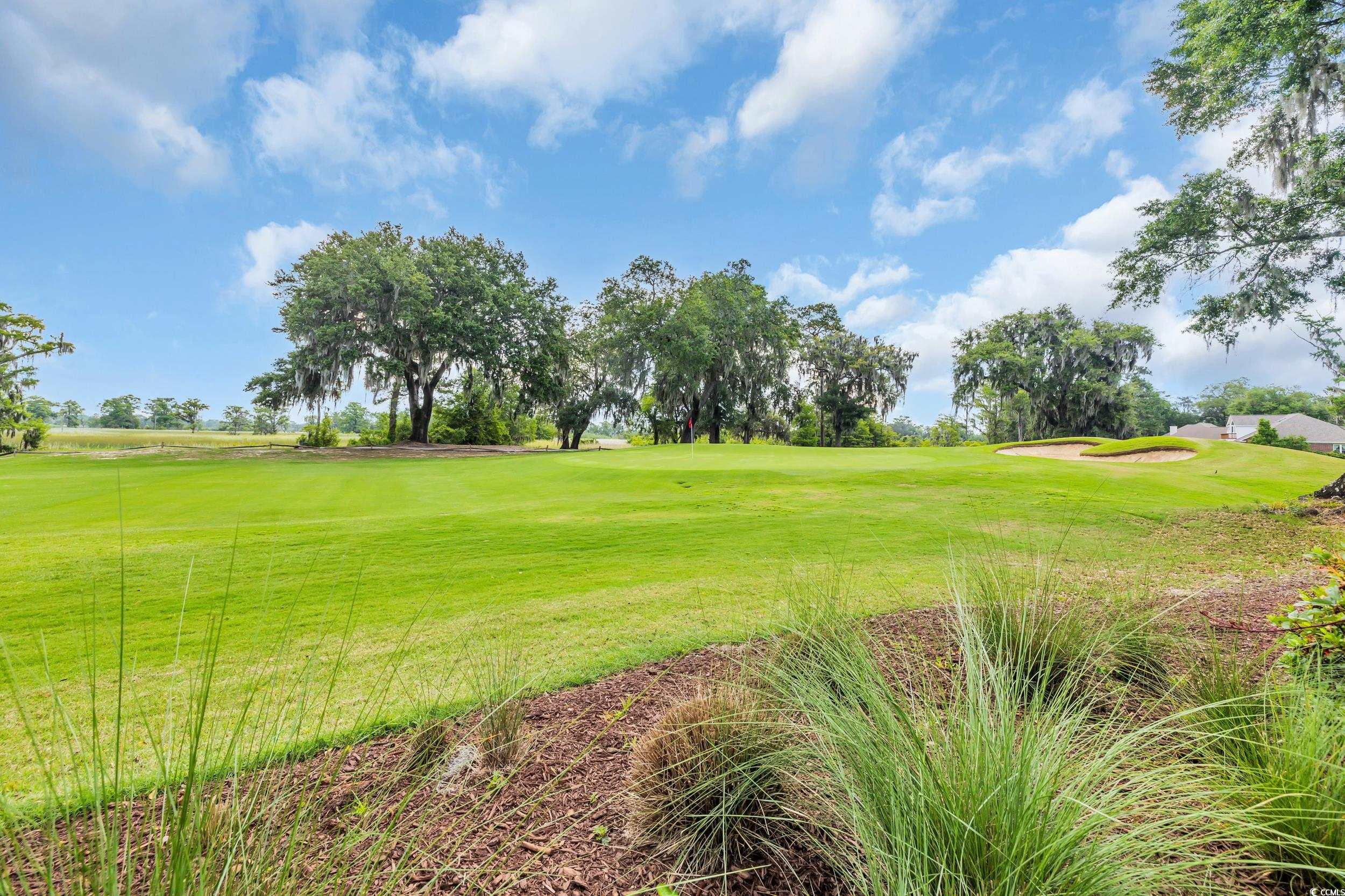 290 Dornoch Dr., Pawleys Island, South Carolina image 35