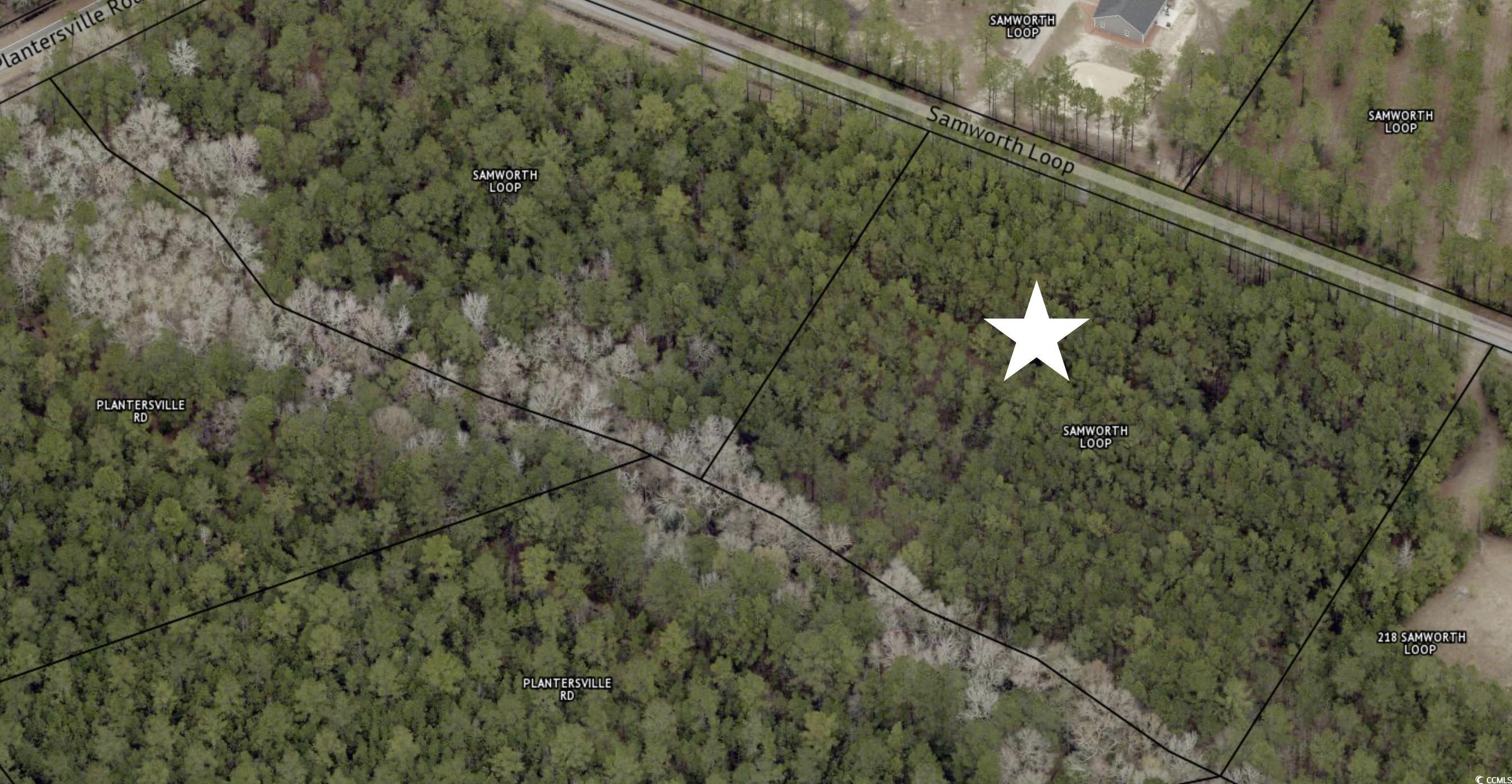 Samworth Loop, Georgetown, South Carolina image 1