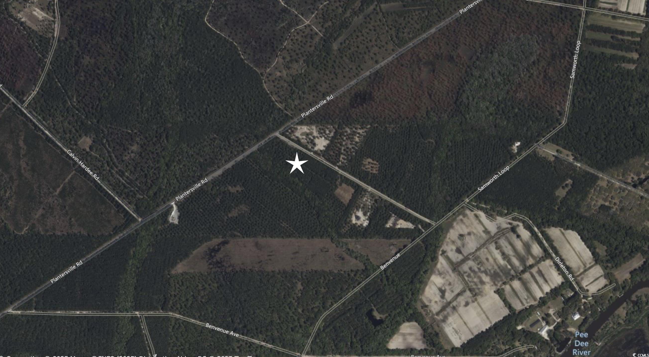 Samworth Loop, Georgetown, South Carolina image 3