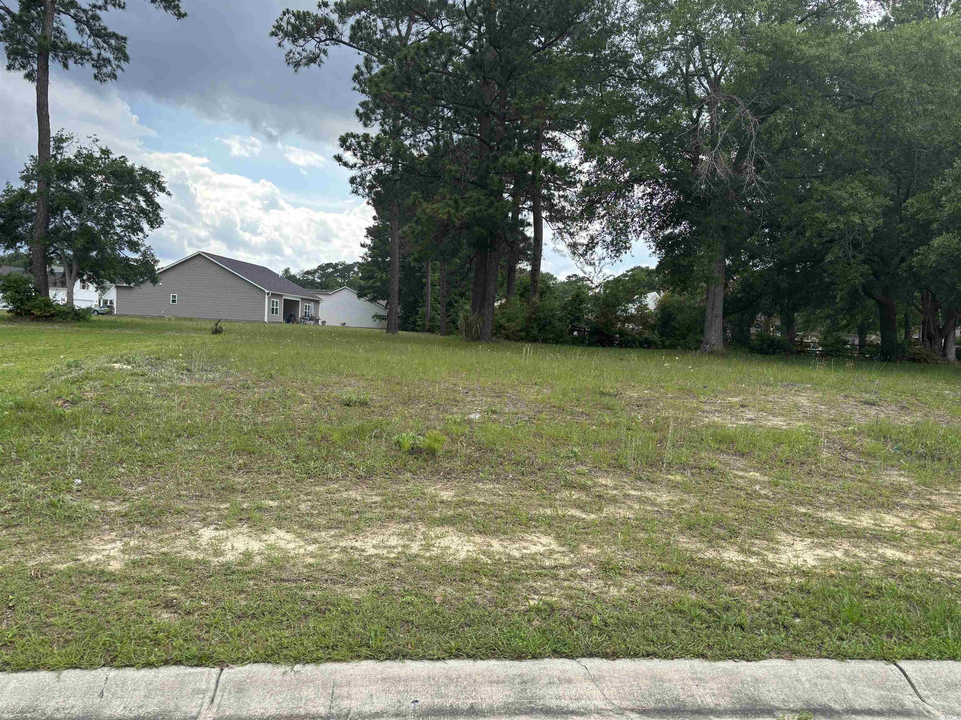 302 Chaff Ct., Georgetown, South Carolina image 2