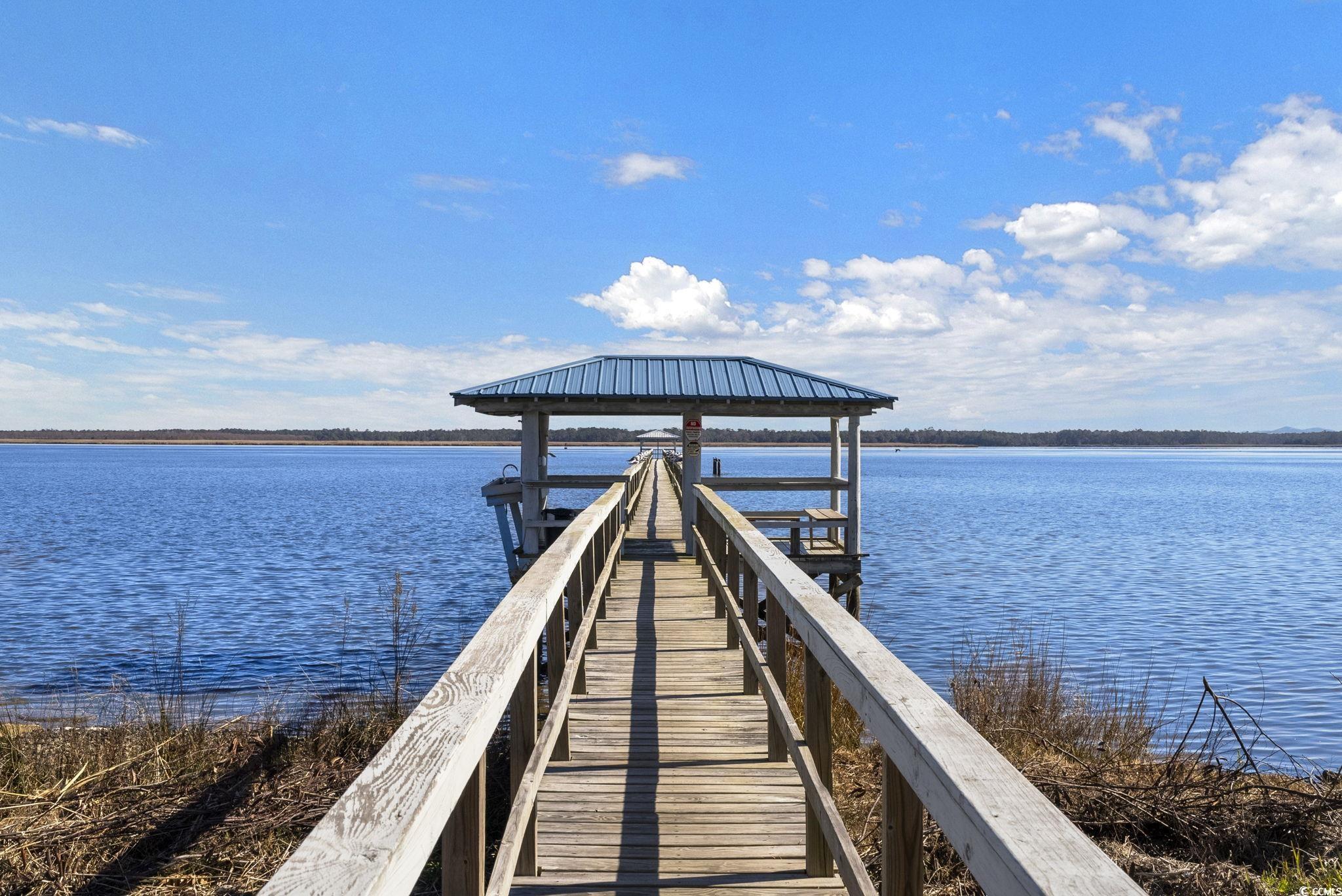 302 Chaff Ct., Georgetown, South Carolina image 20