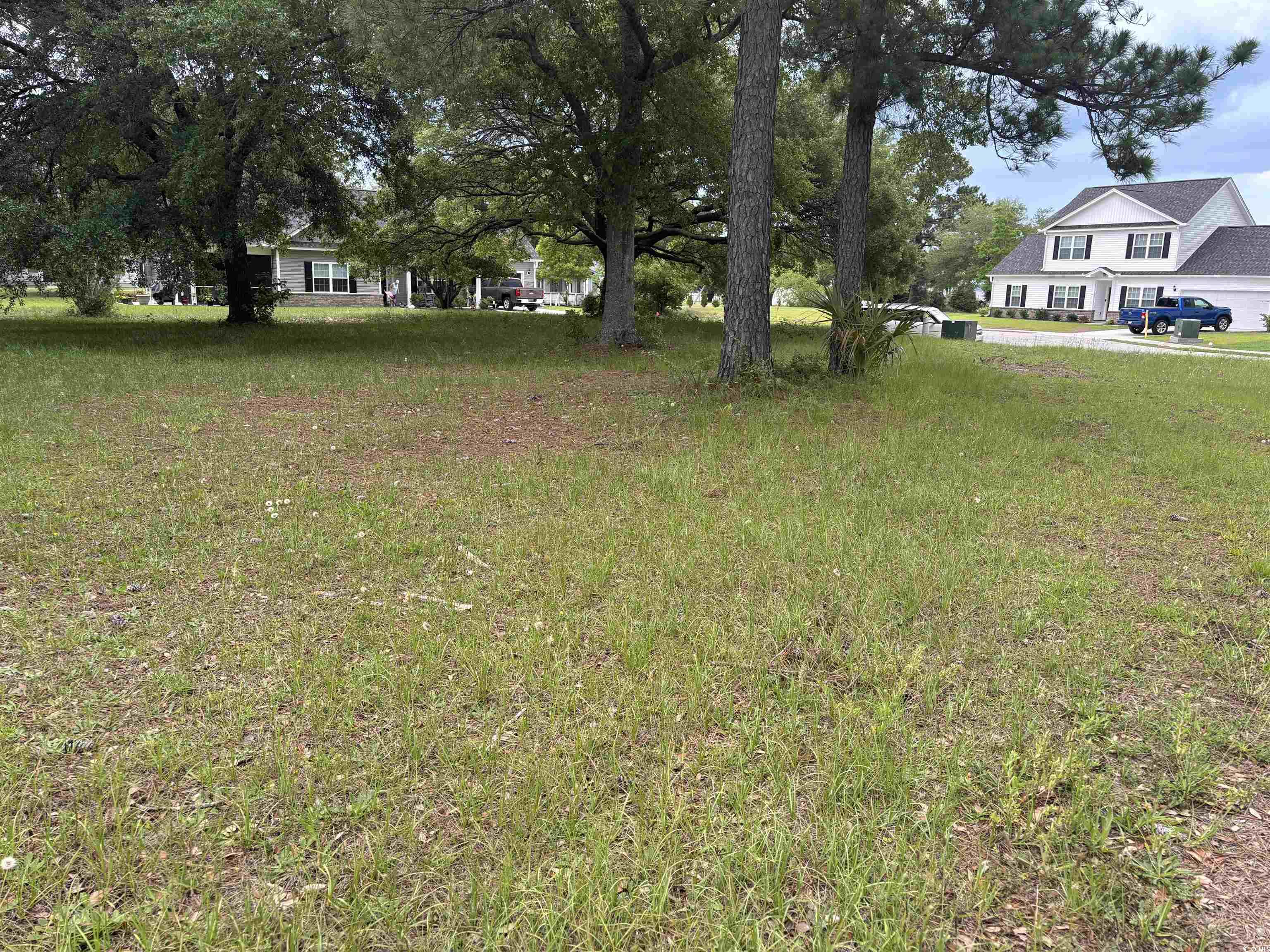 302 Chaff Ct., Georgetown, South Carolina image 6