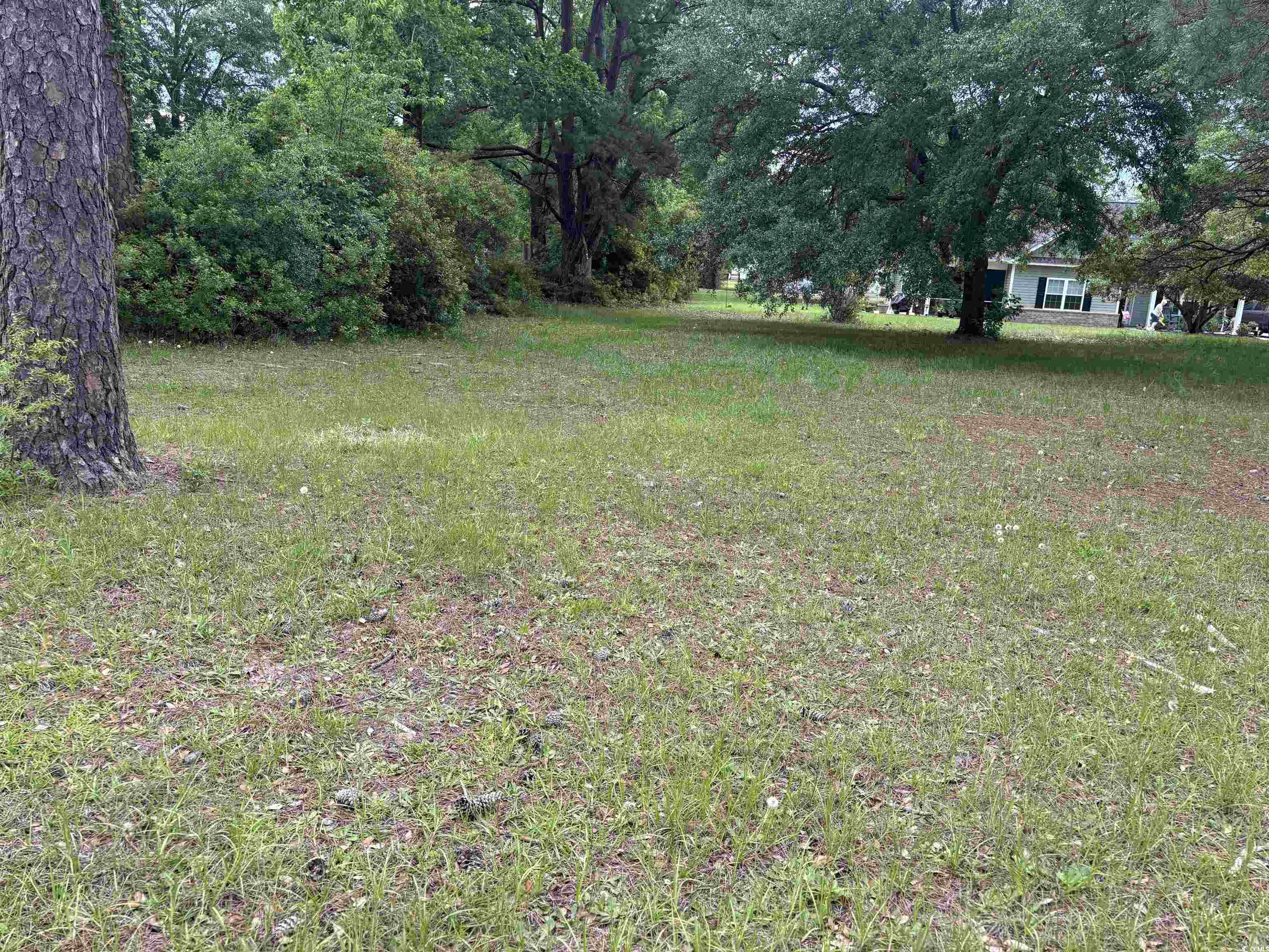 302 Chaff Ct., Georgetown, South Carolina image 8
