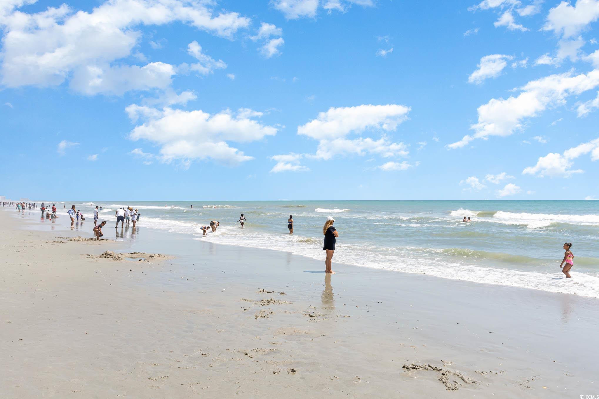 7100 N Ocean Blvd. #1011, Myrtle Beach, South Carolina image 22