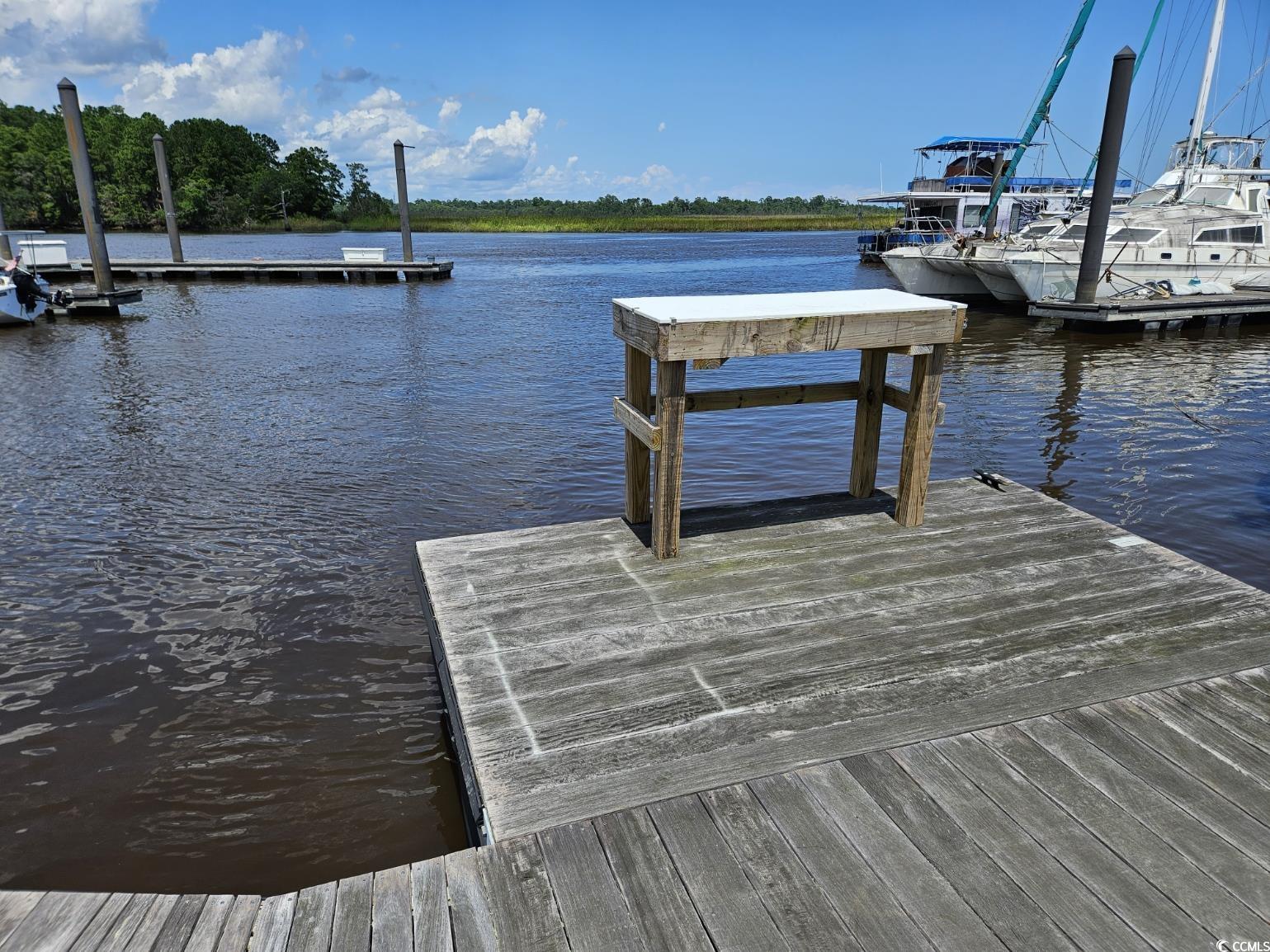 TBD Bridge View Rd., Georgetown, South Carolina image 16