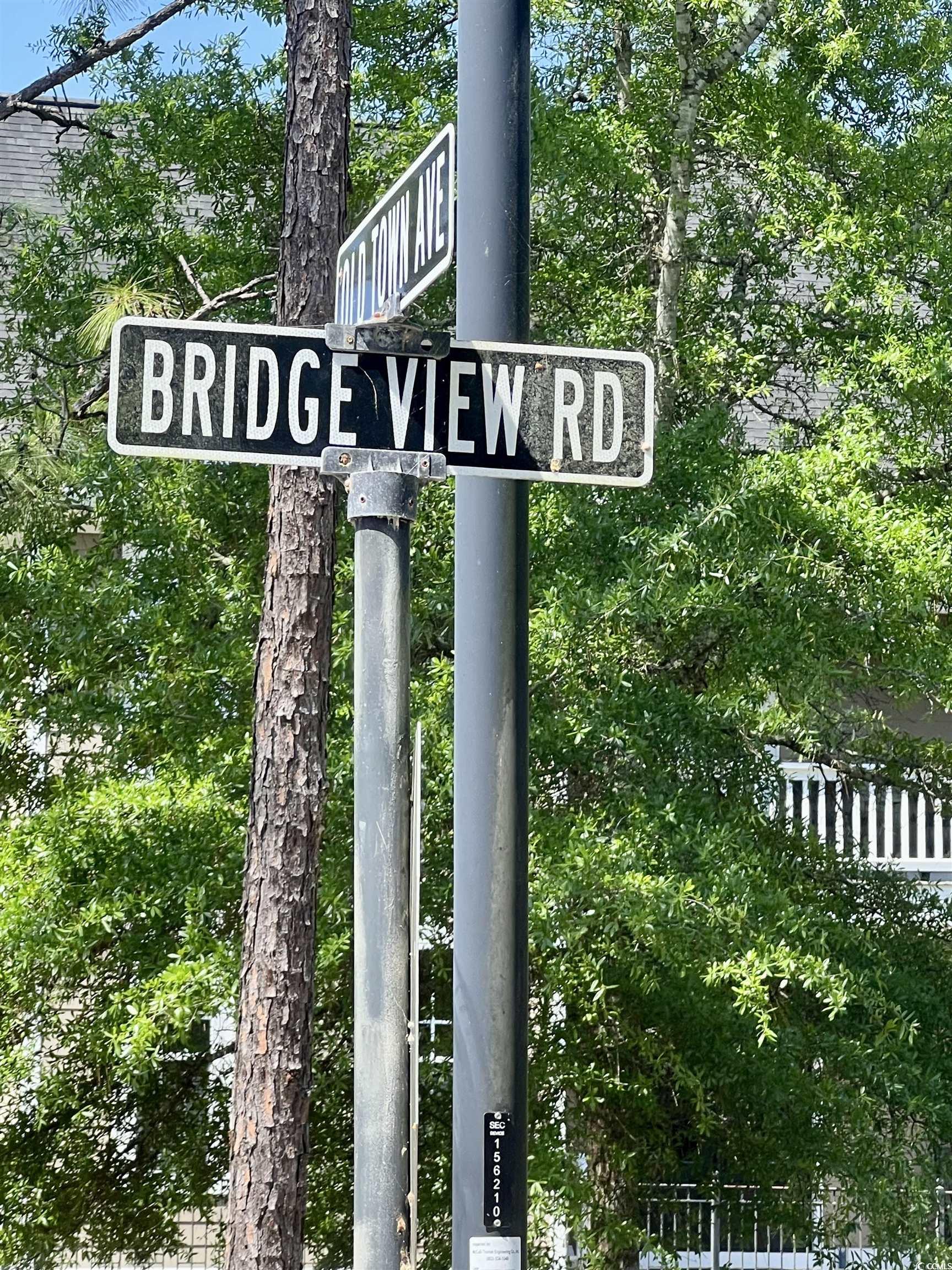 TBD Bridge View Rd., Georgetown, South Carolina image 3