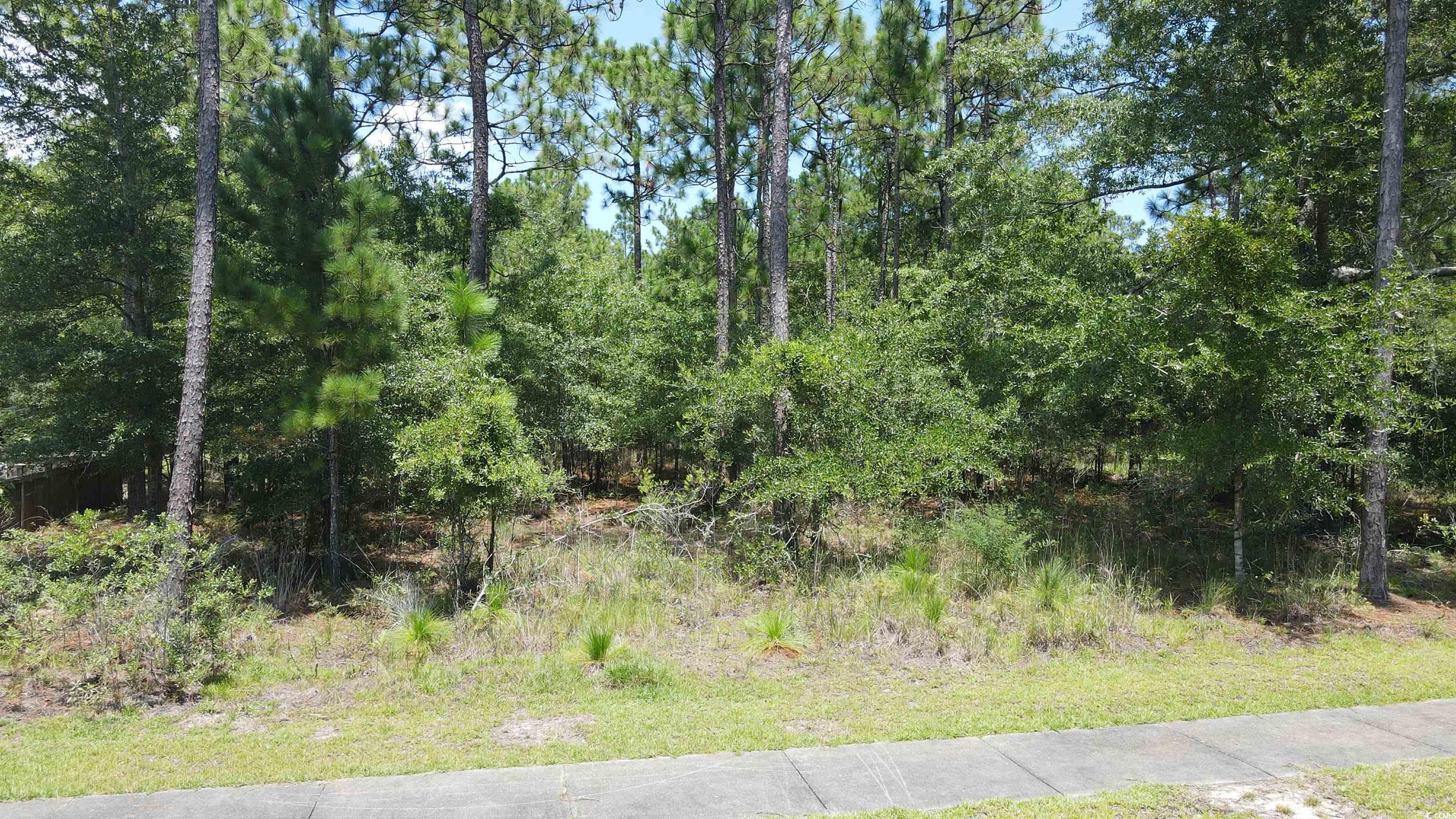 TBD Bridge View Rd., Georgetown, South Carolina image 6