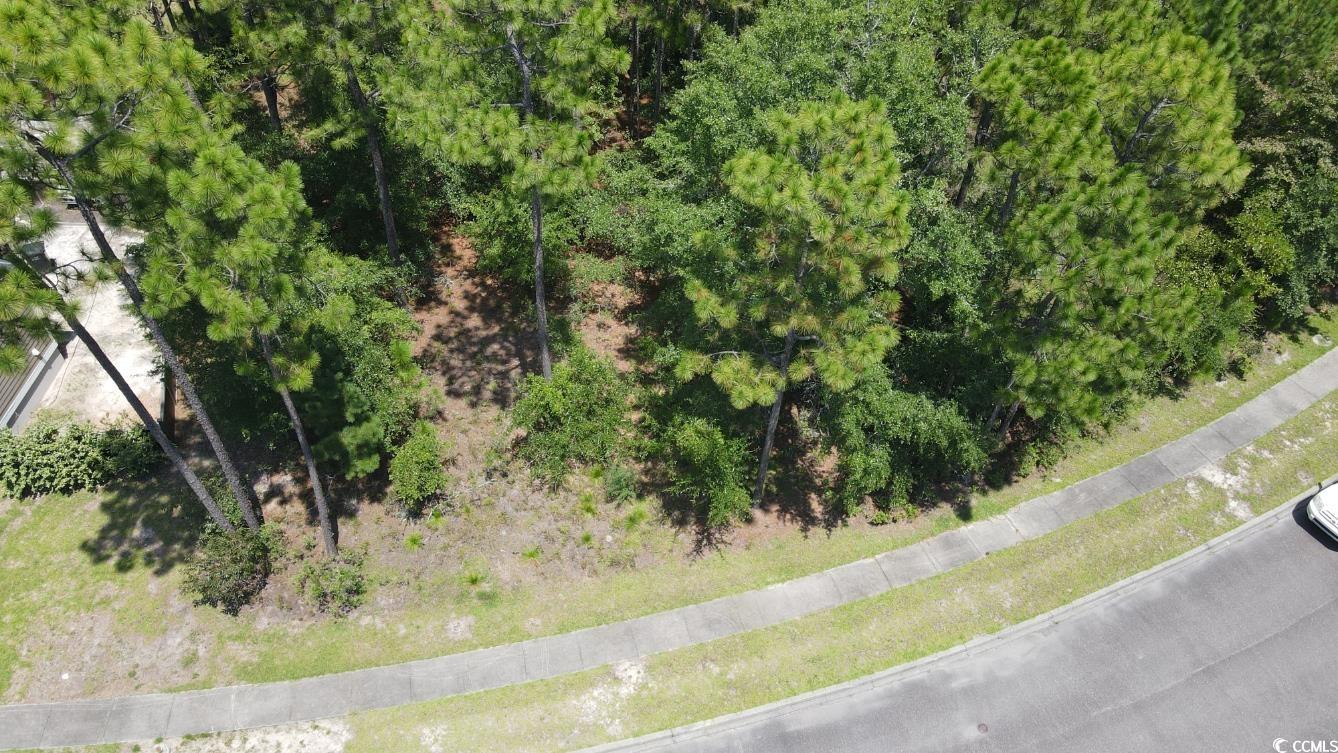 TBD Bridge View Rd., Georgetown, South Carolina image 8