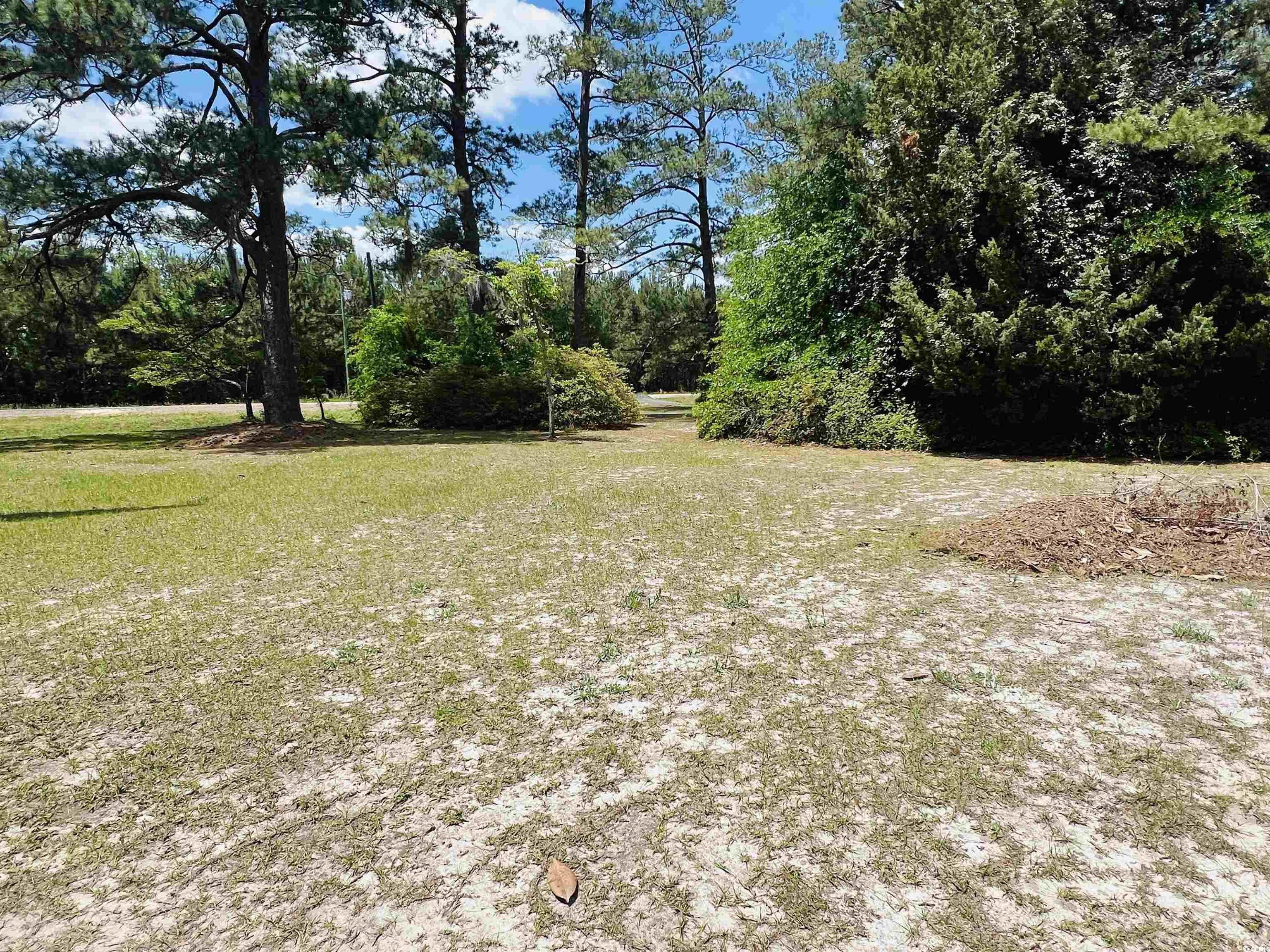 2573 Martin Luther King Hwy., Kingstree, South Carolina image 23