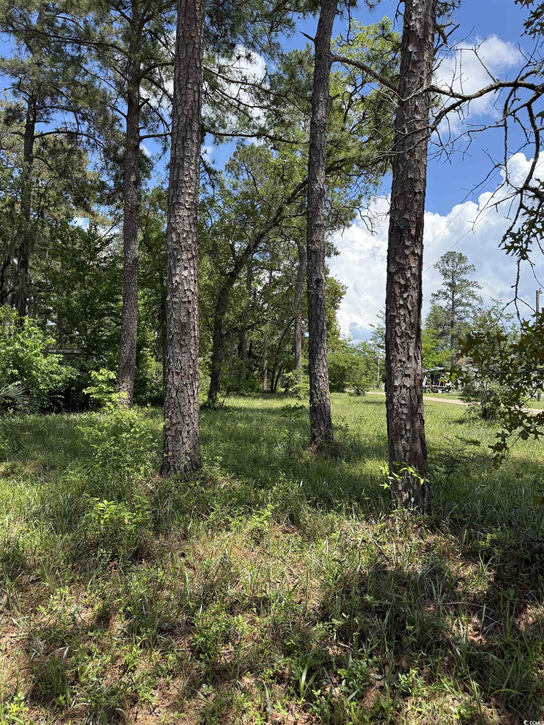 TBD Hampton Rd. Conway, SC 29527