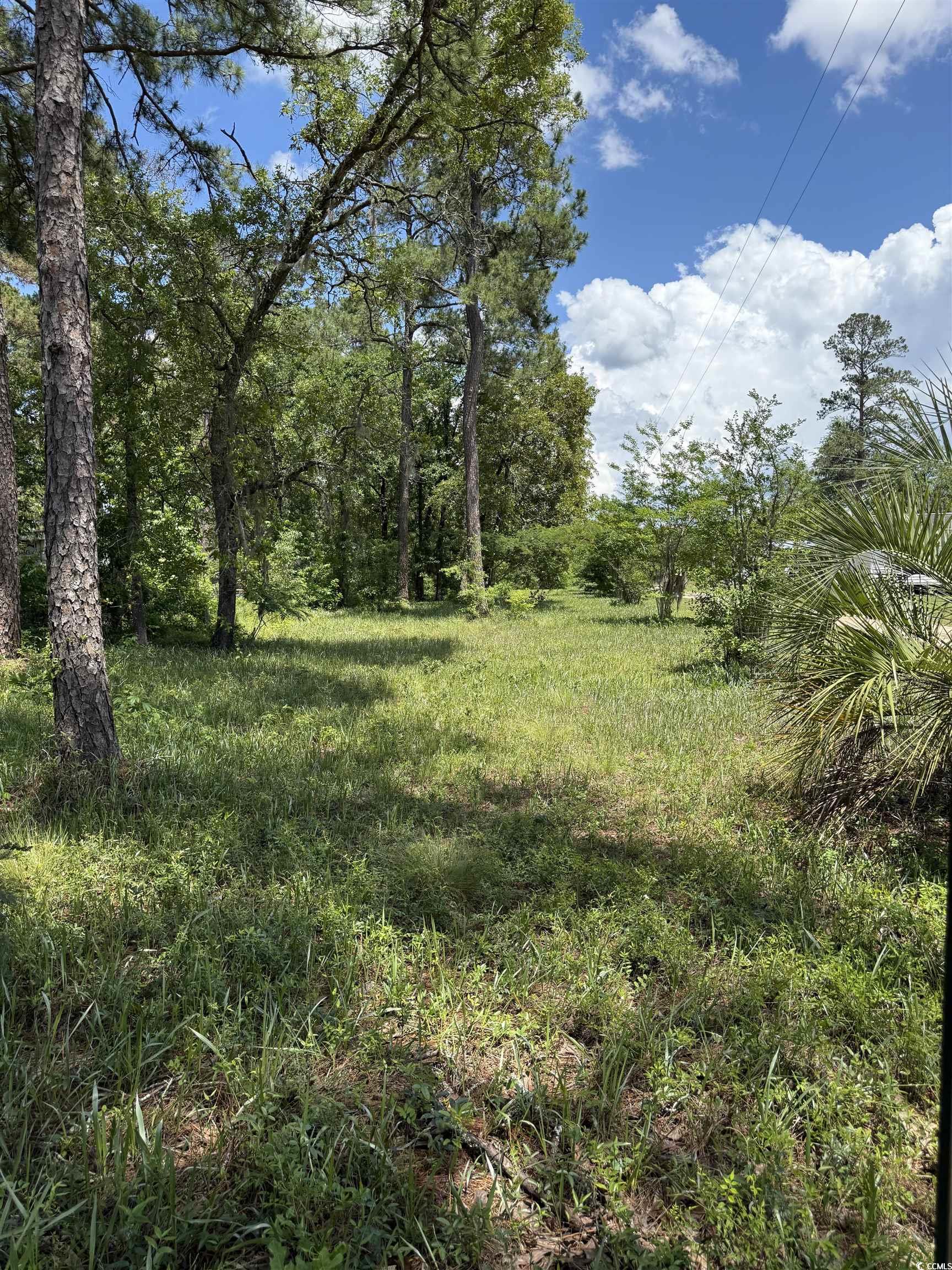 TBD Hampton Rd., Conway, South Carolina image 3