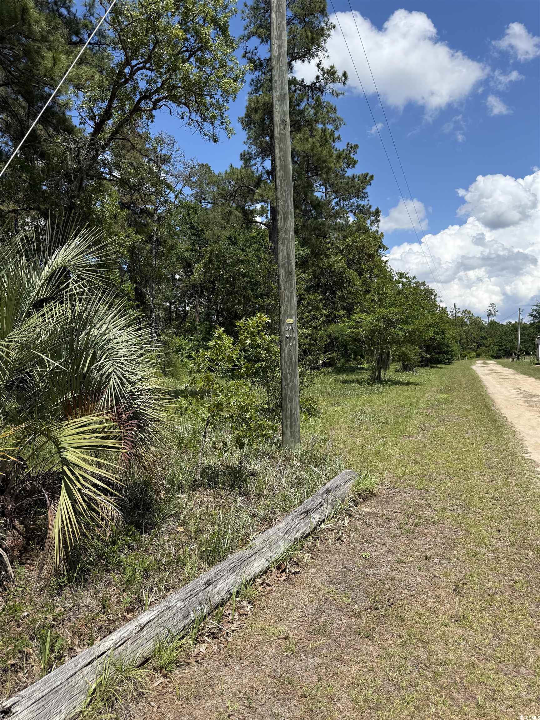 TBD Hampton Rd., Conway, South Carolina image 4