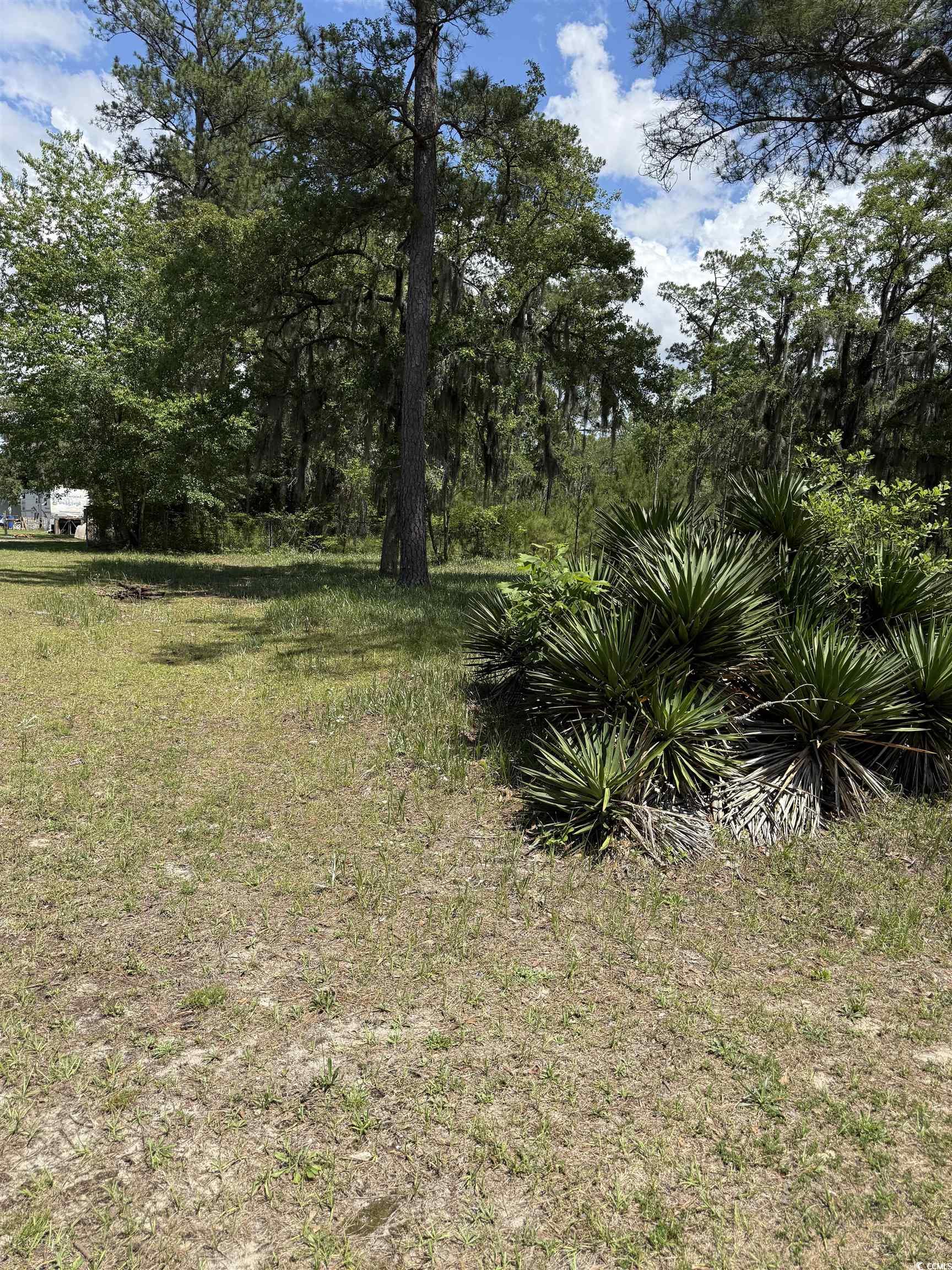 TBD Hampton Rd., Conway, South Carolina image 5