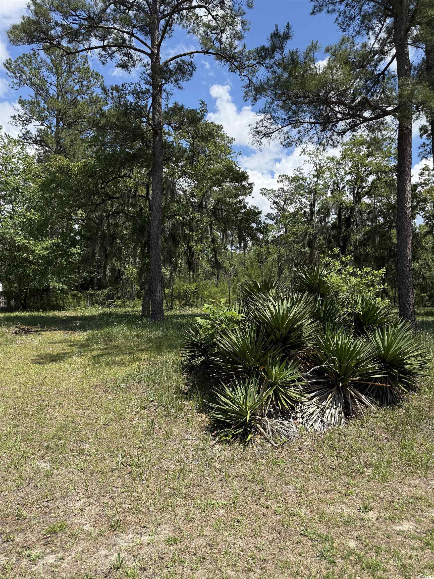 TBD Hampton Rd., Conway, South Carolina image 7