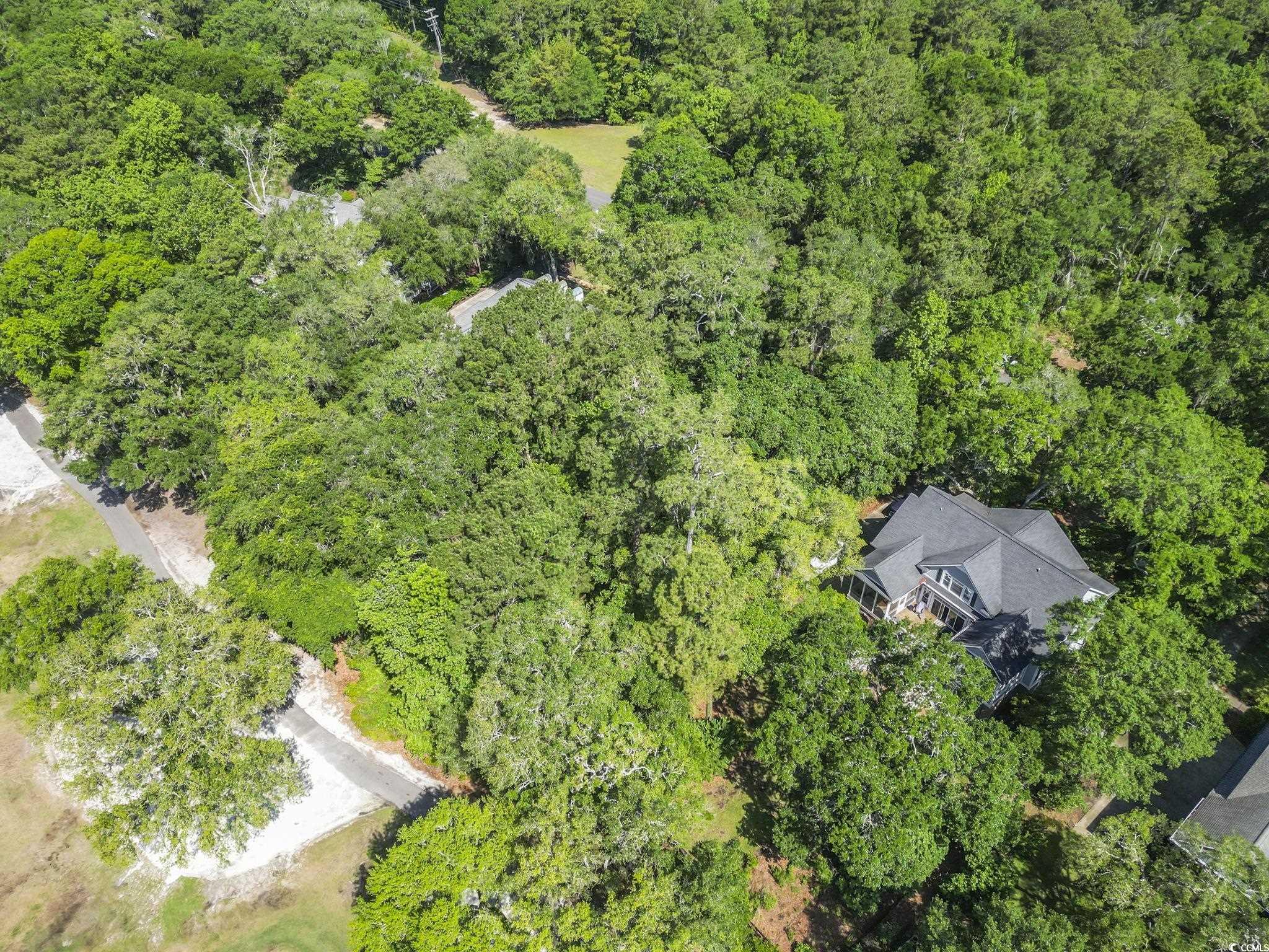15 Wallace Pate Dr., Georgetown, South Carolina image 4