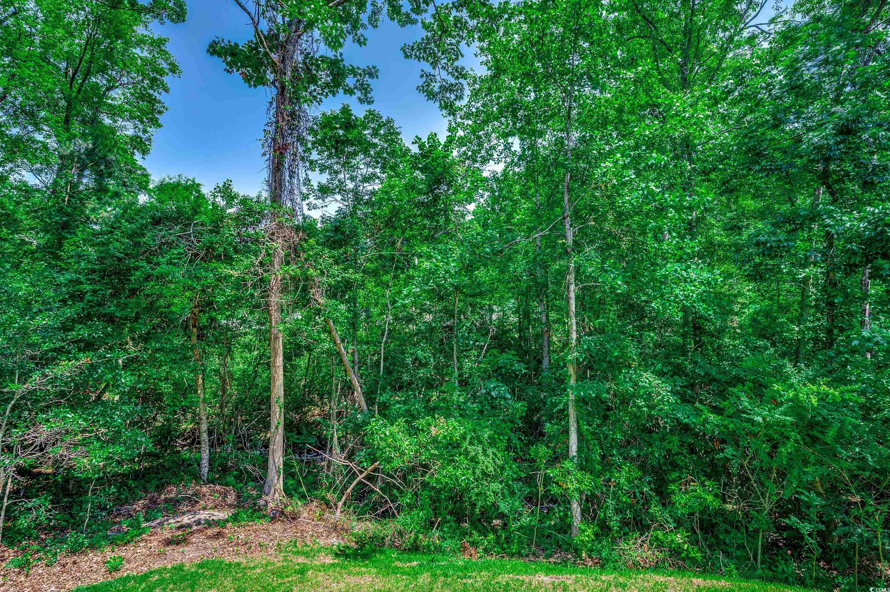 1673 Carriage Ln., Little River, South Carolina image 38