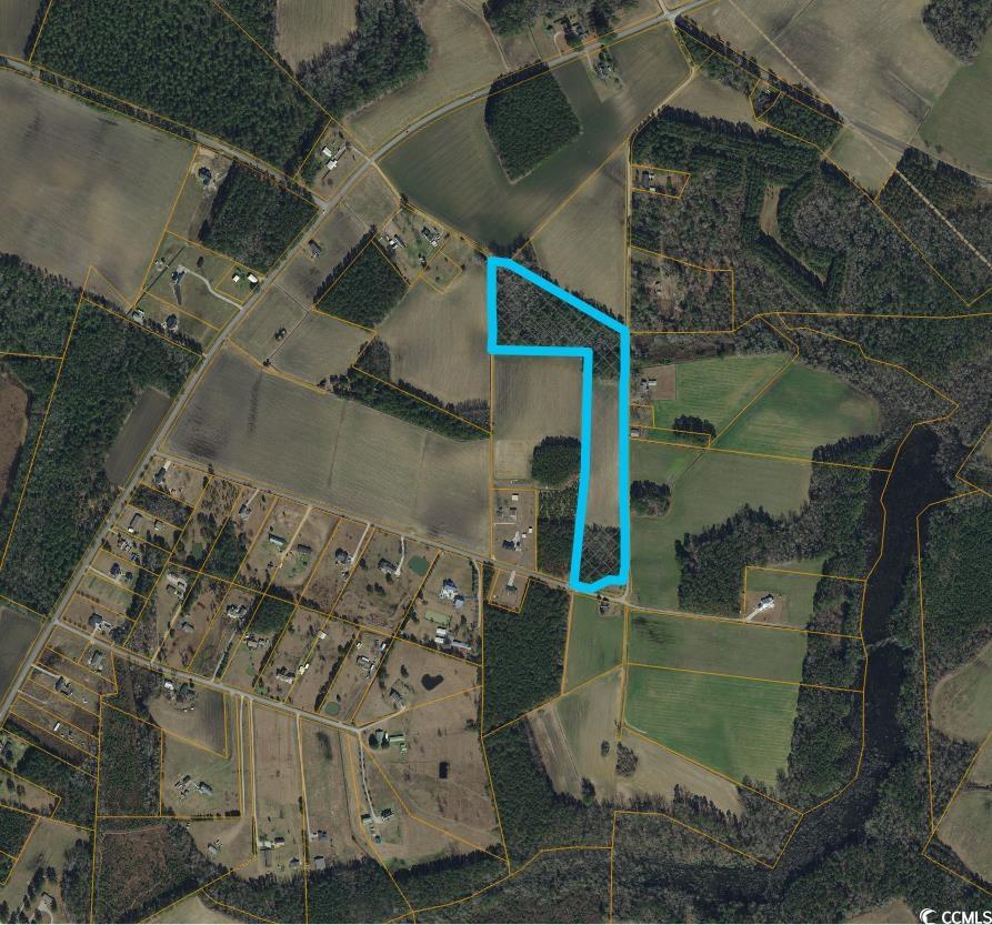 TBD Birchfield Dr. Loris, SC 29569