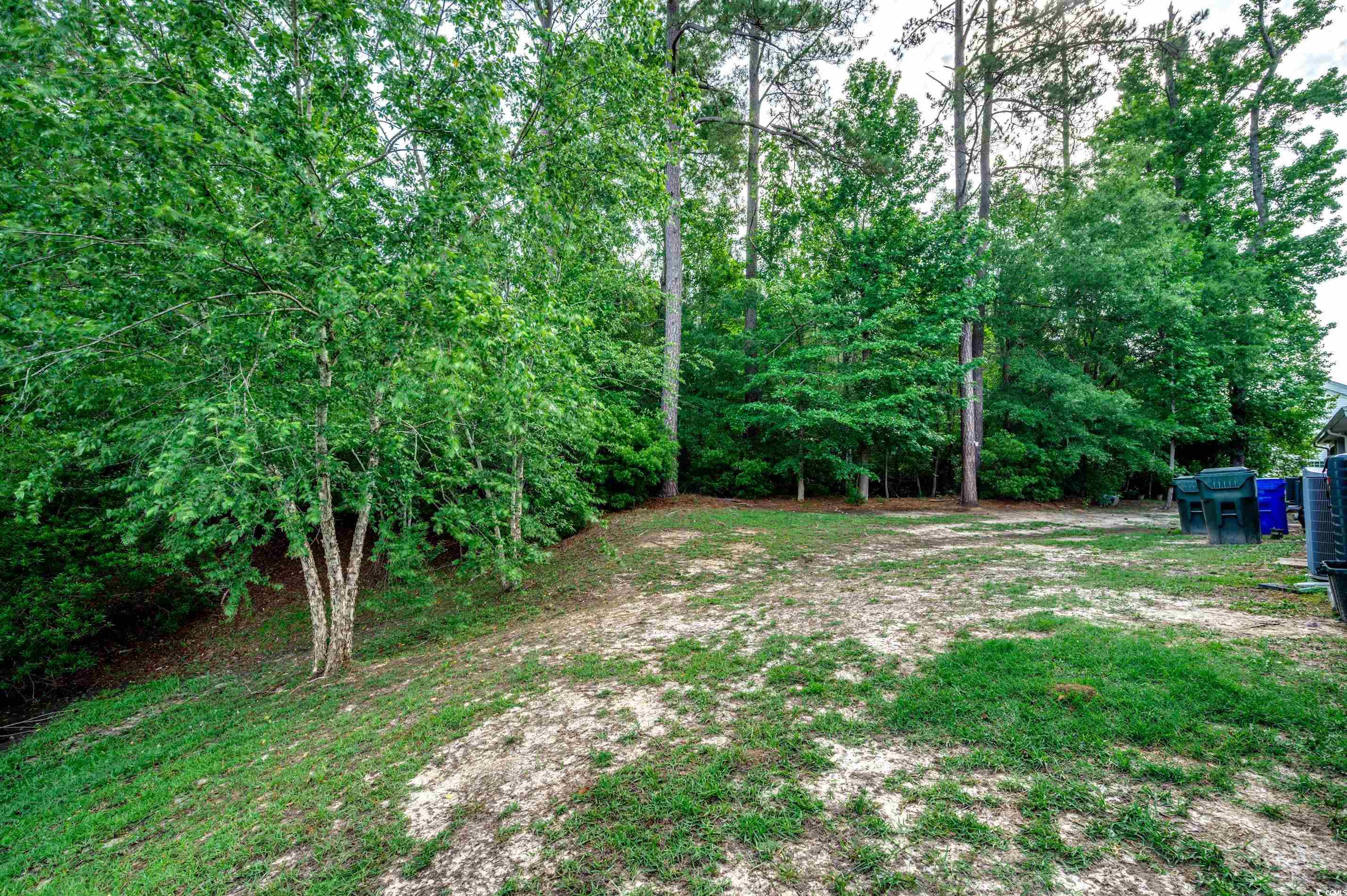 3120 Mercer Dr. #-, Conway, South Carolina image 27