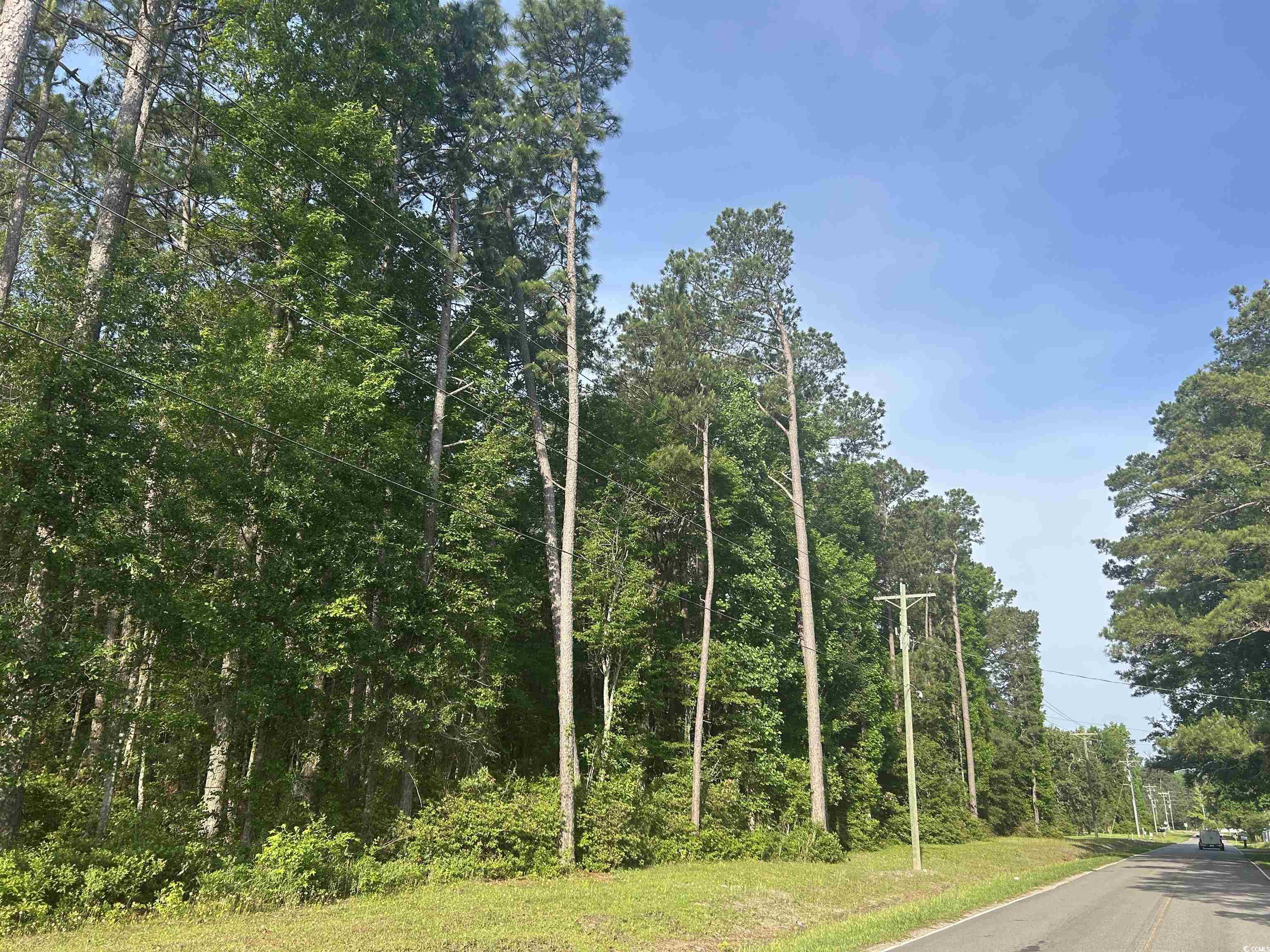 TBD Roscoe Rd. Myrtle Beach, SC 29588