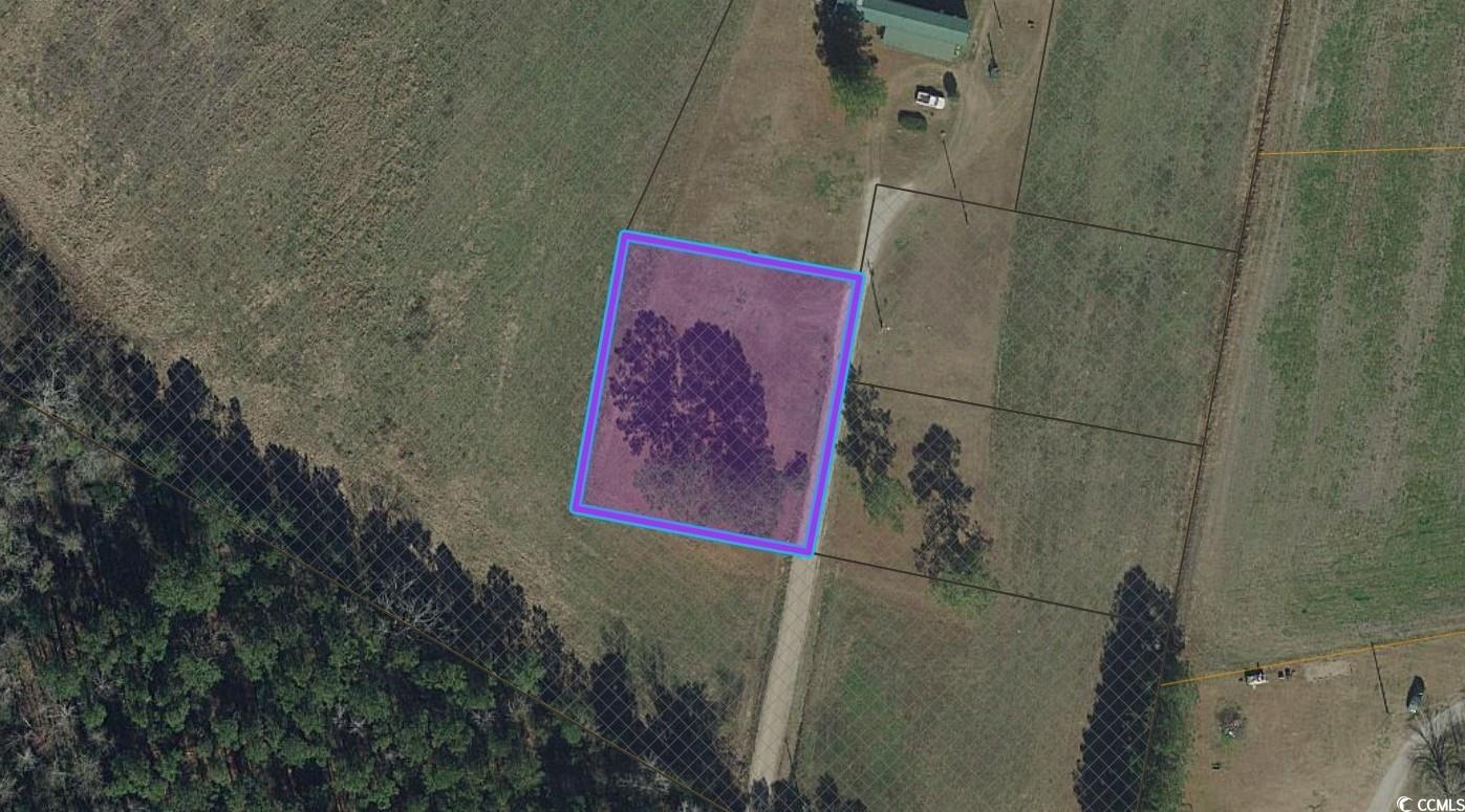 2093 G and B Ln Loris, SC 29569