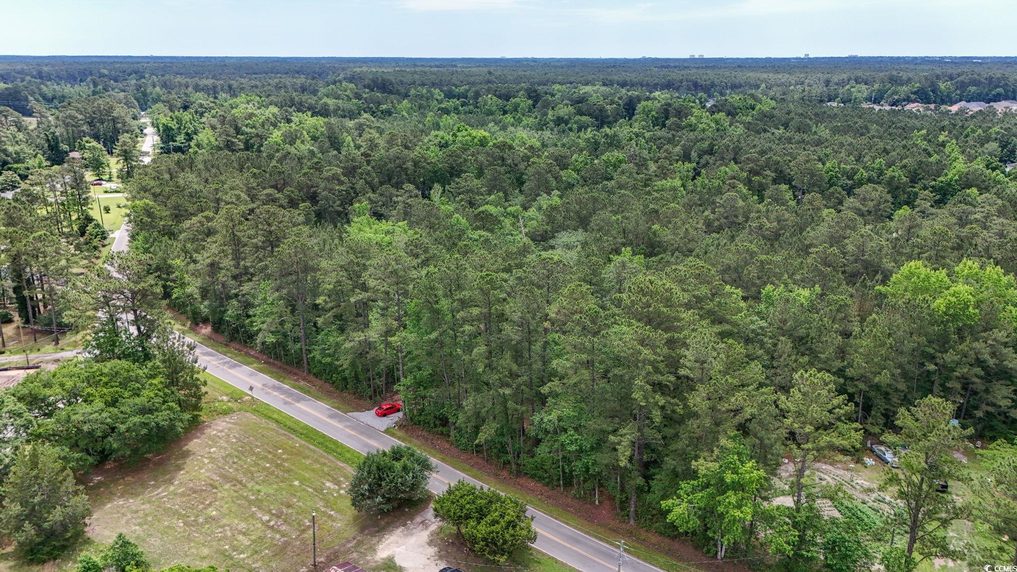 Area A Union Church Rd., Little River, South Carolina image 8