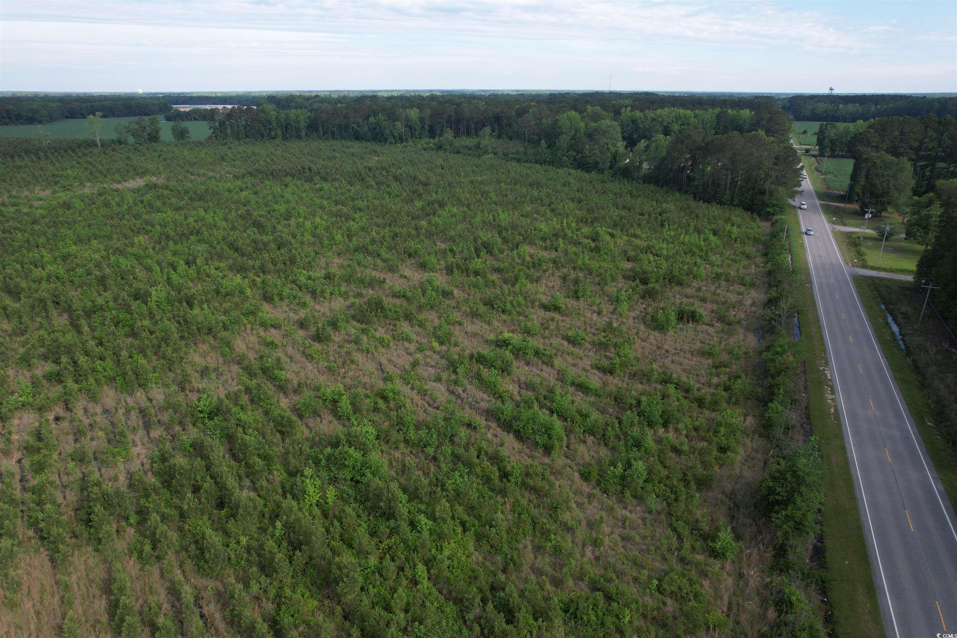 20 Acres - TBD Highway 260, Manning, South Carolina image 10