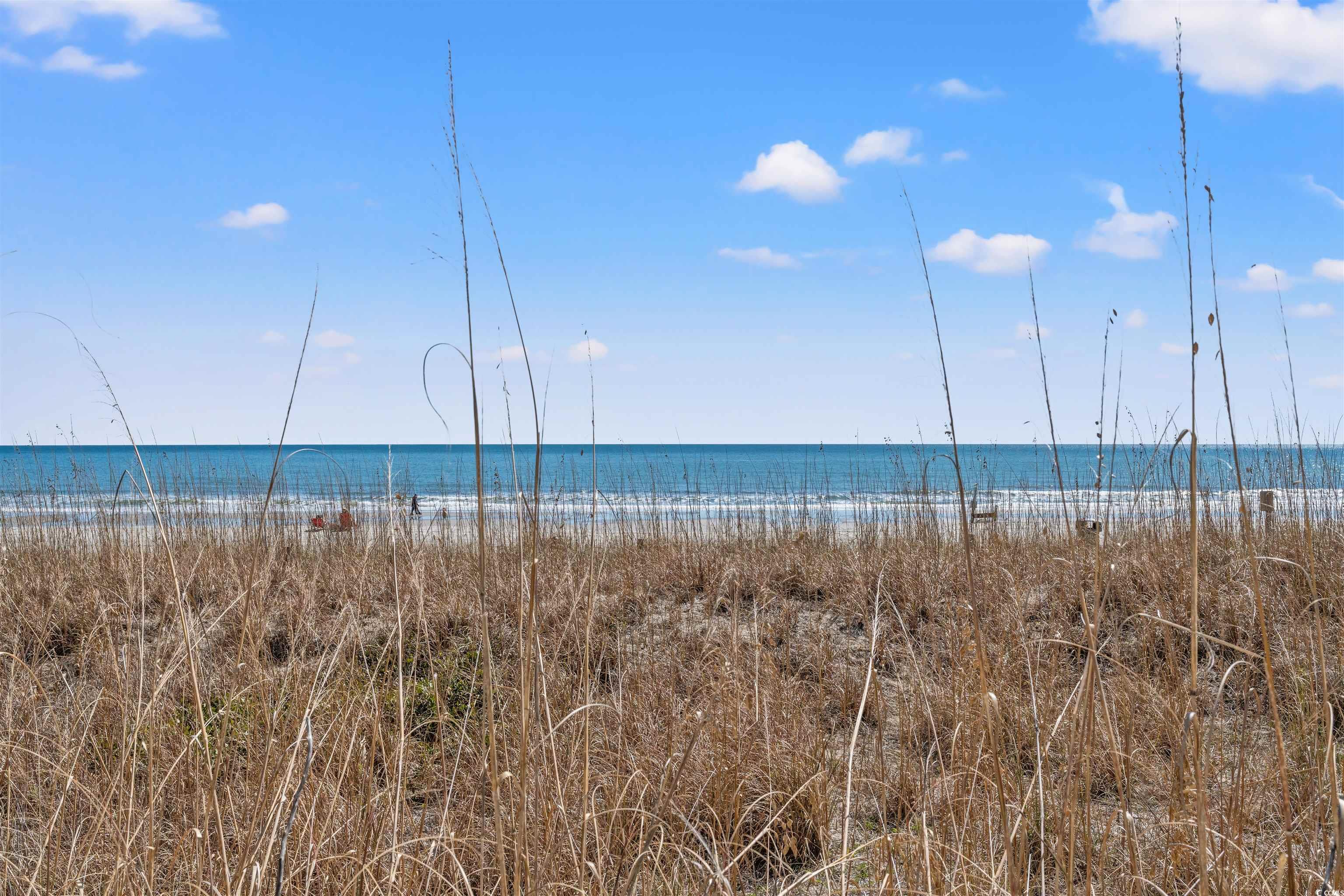 2801 S Ocean Blvd. #941, North Myrtle Beach, South Carolina image 18