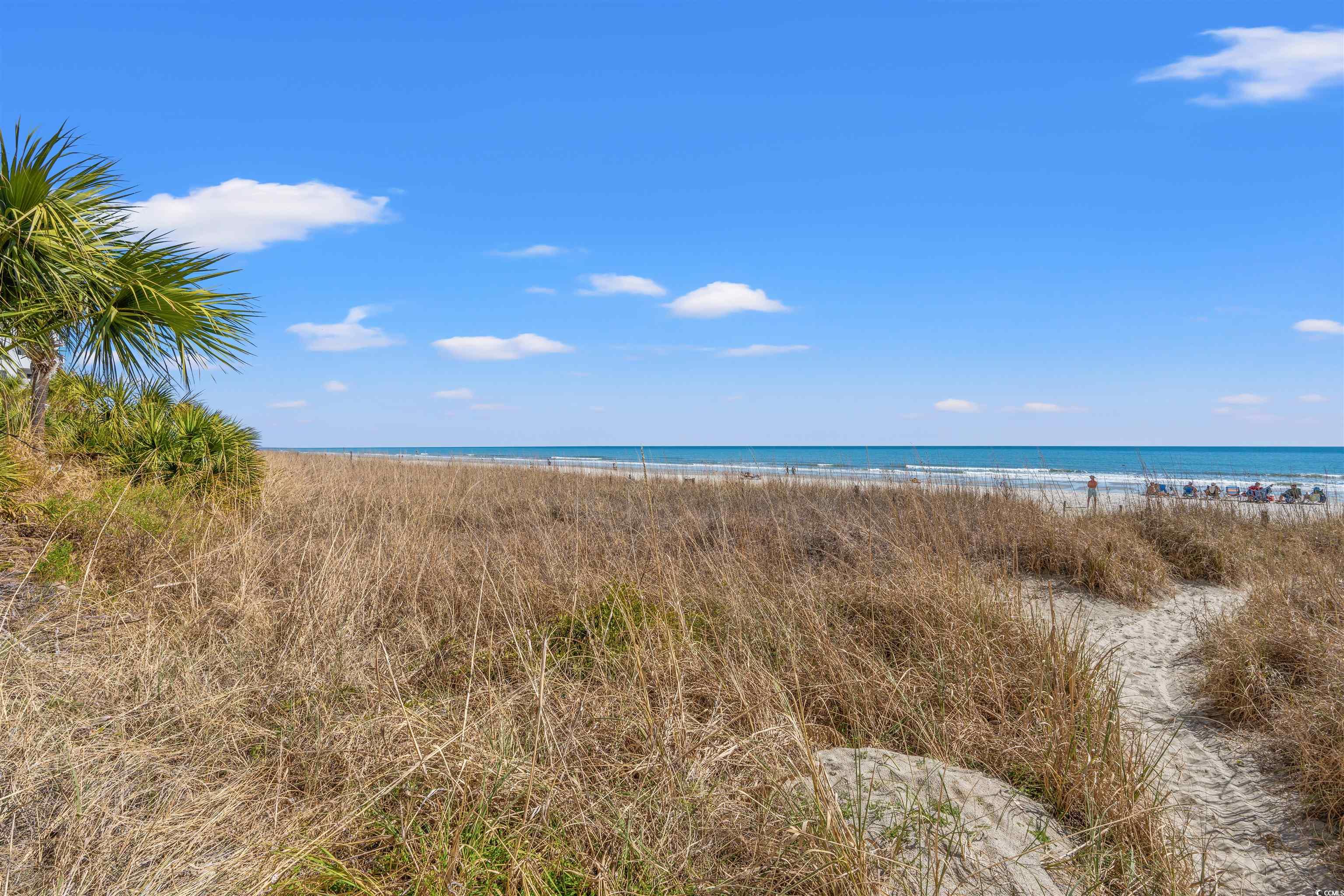 2801 S Ocean Blvd. #941, North Myrtle Beach, South Carolina image 19