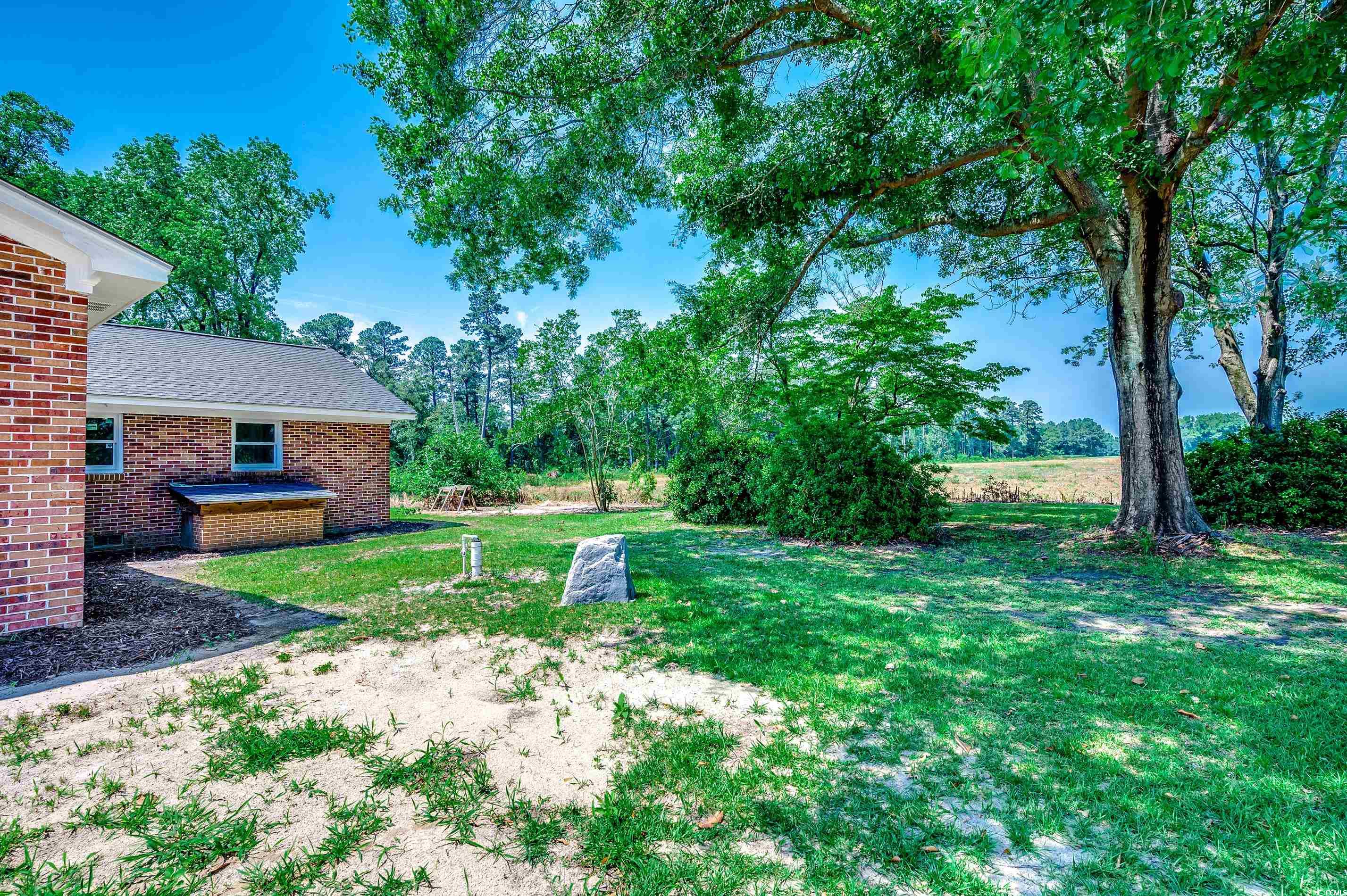 4145 Highway 308, Galivants Ferry, South Carolina image 6