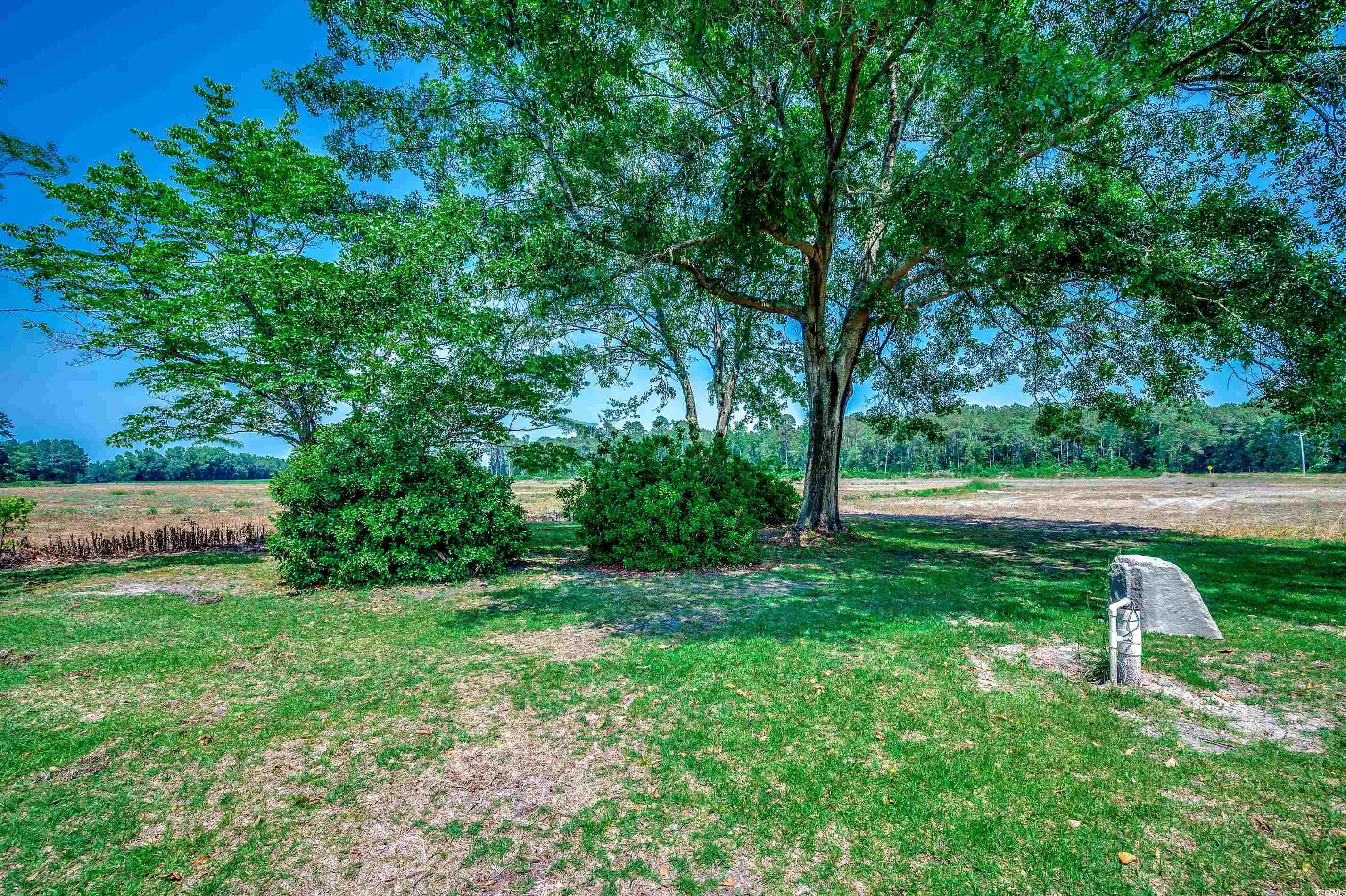 4145 Highway 308, Galivants Ferry, South Carolina image 9