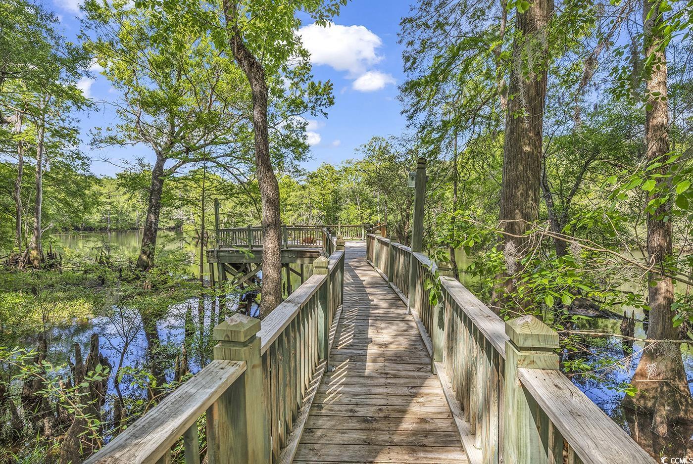 4131 Gunter Lake Rd., Galivants Ferry, South Carolina image 35