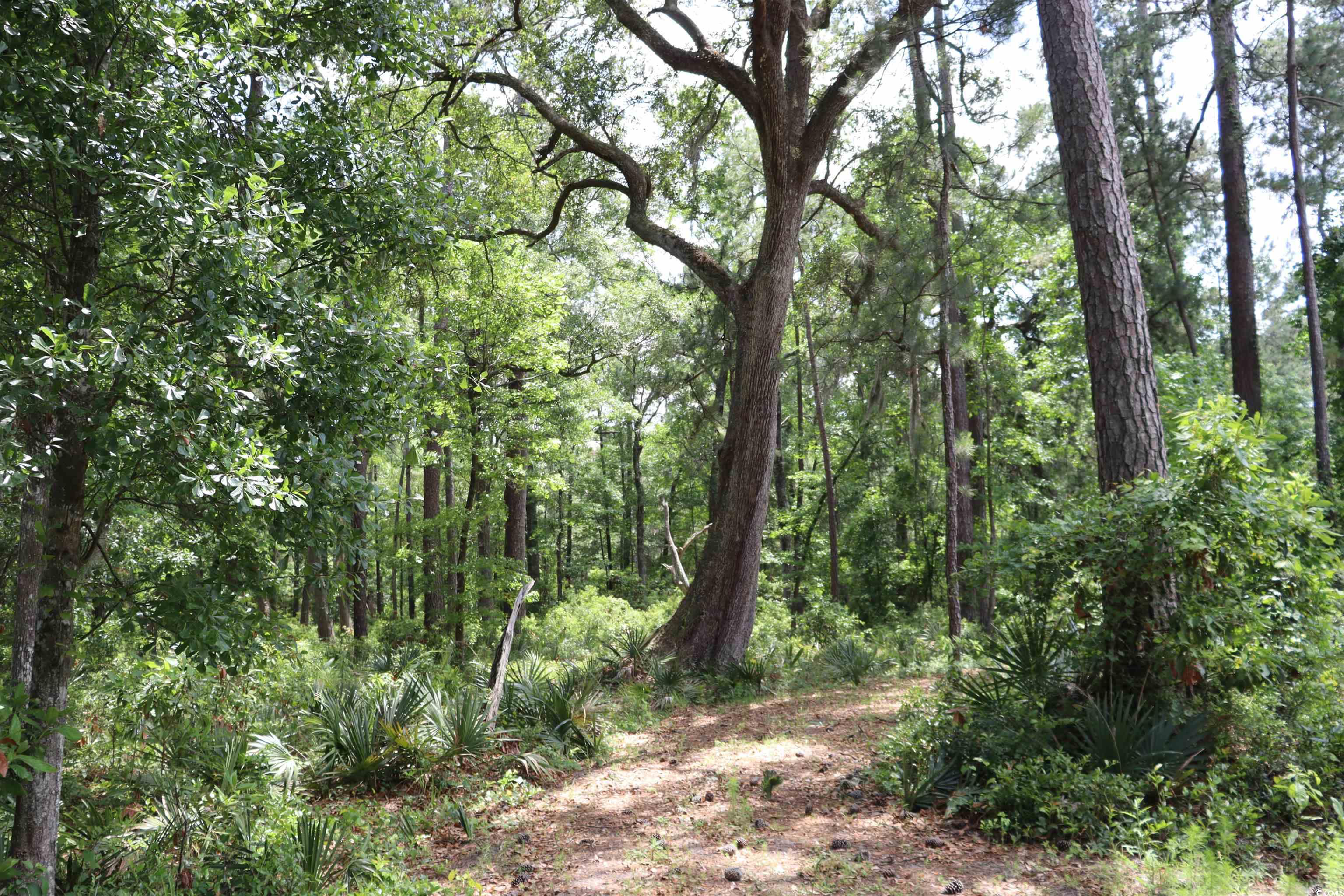 1030 Lantana Circle, Georgetown, South Carolina image 1