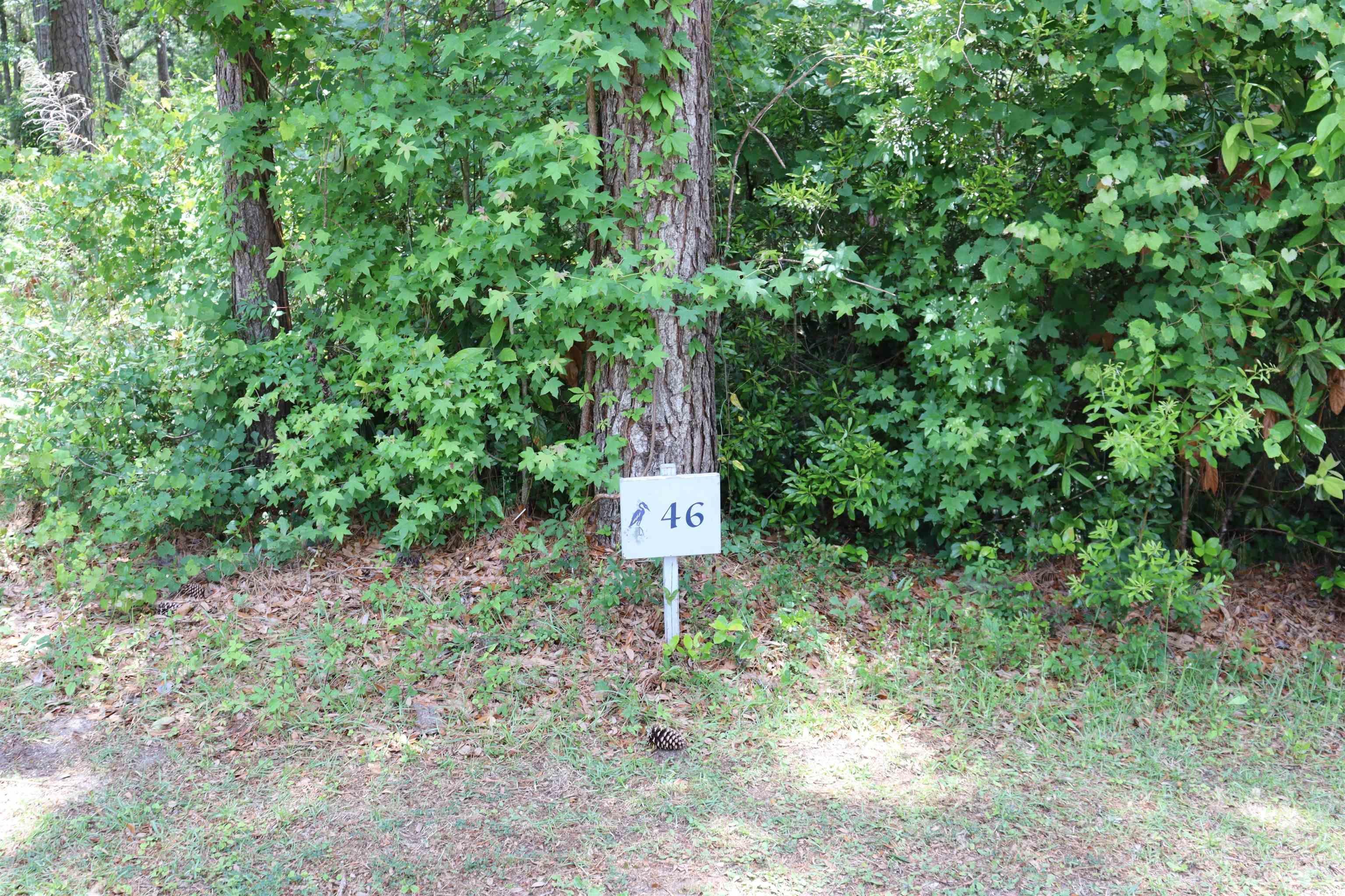 1030 Lantana Circle, Georgetown, South Carolina image 3