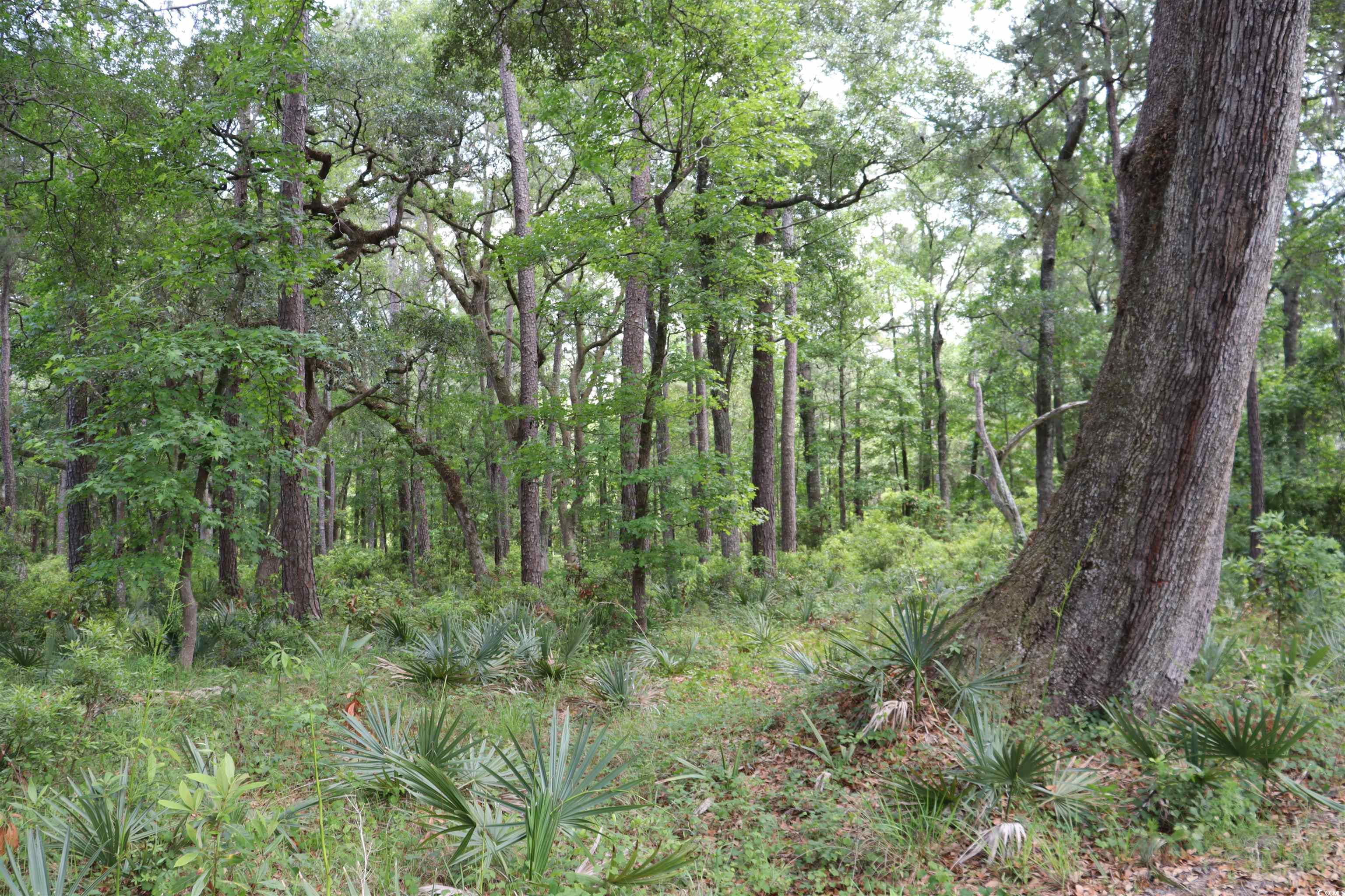 1030 Lantana Circle, Georgetown, South Carolina image 4