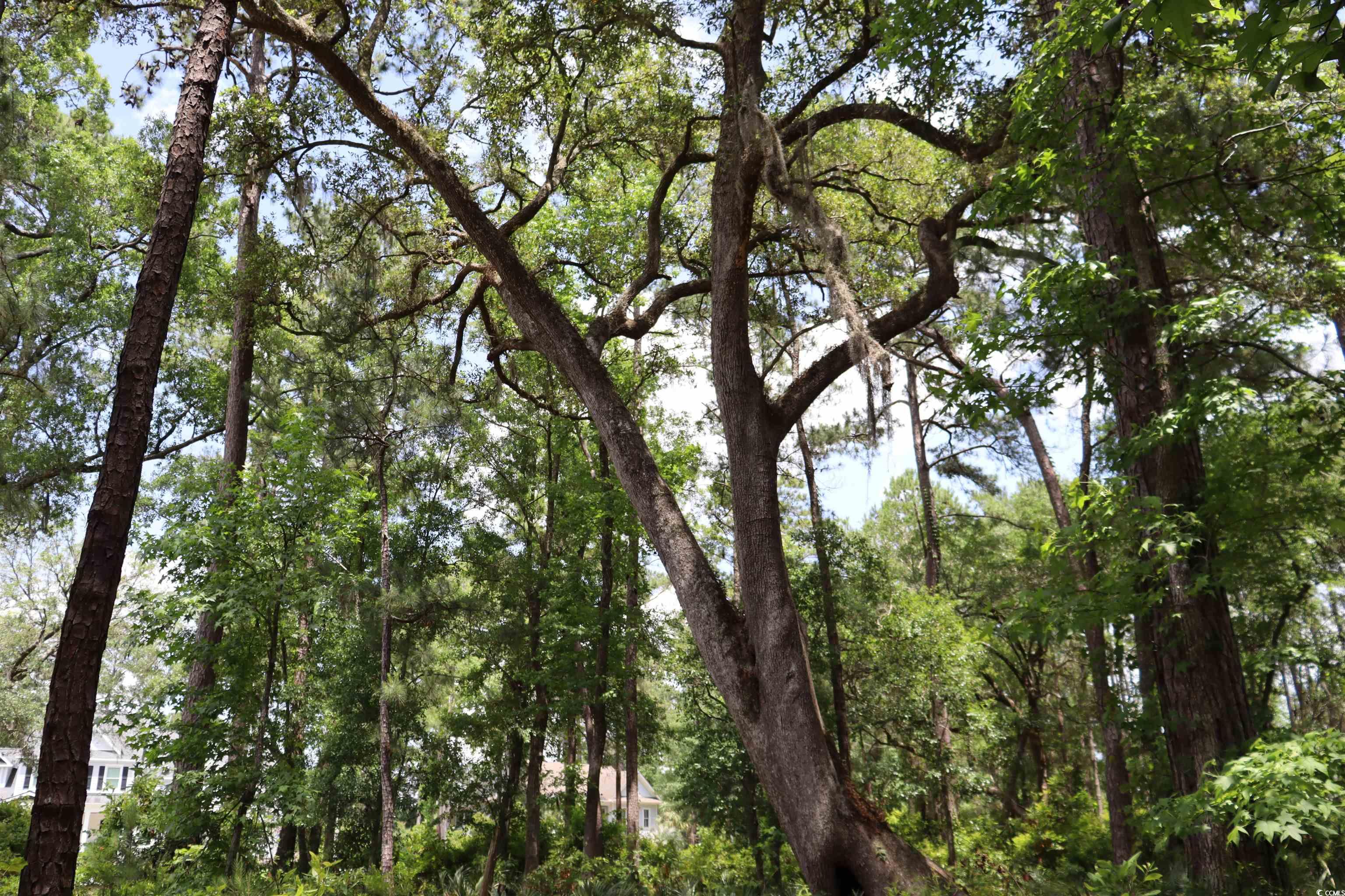1030 Lantana Circle, Georgetown, South Carolina image 6