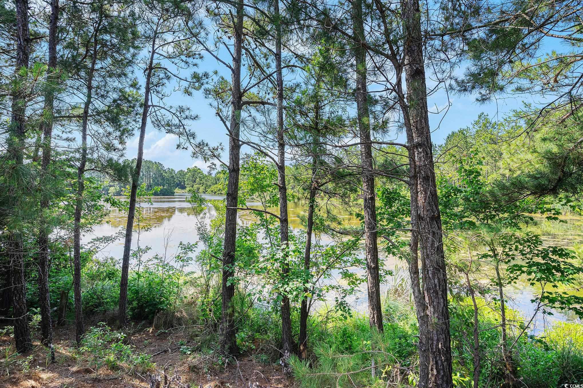 6253 Catalina Dr. #1523, North Myrtle Beach, South Carolina image 31