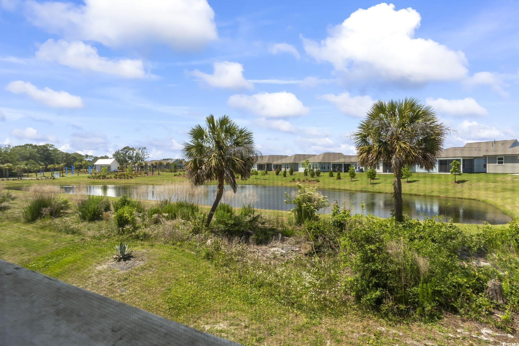 1100 Possum Trot Rd. #C-203, North Myrtle Beach, South Carolina image 31