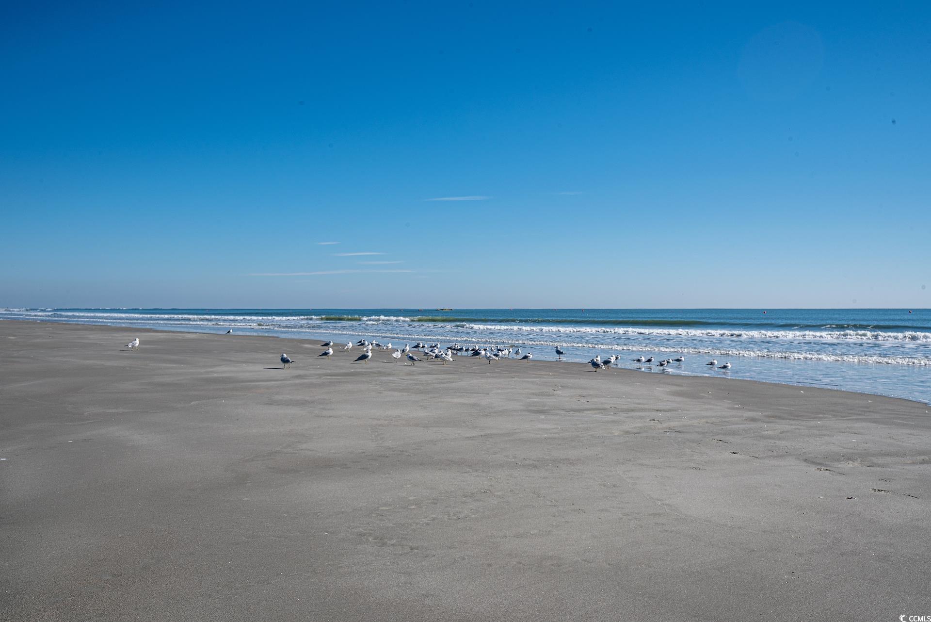 601 Hillside Dr. N #2135, North Myrtle Beach, South Carolina image 39