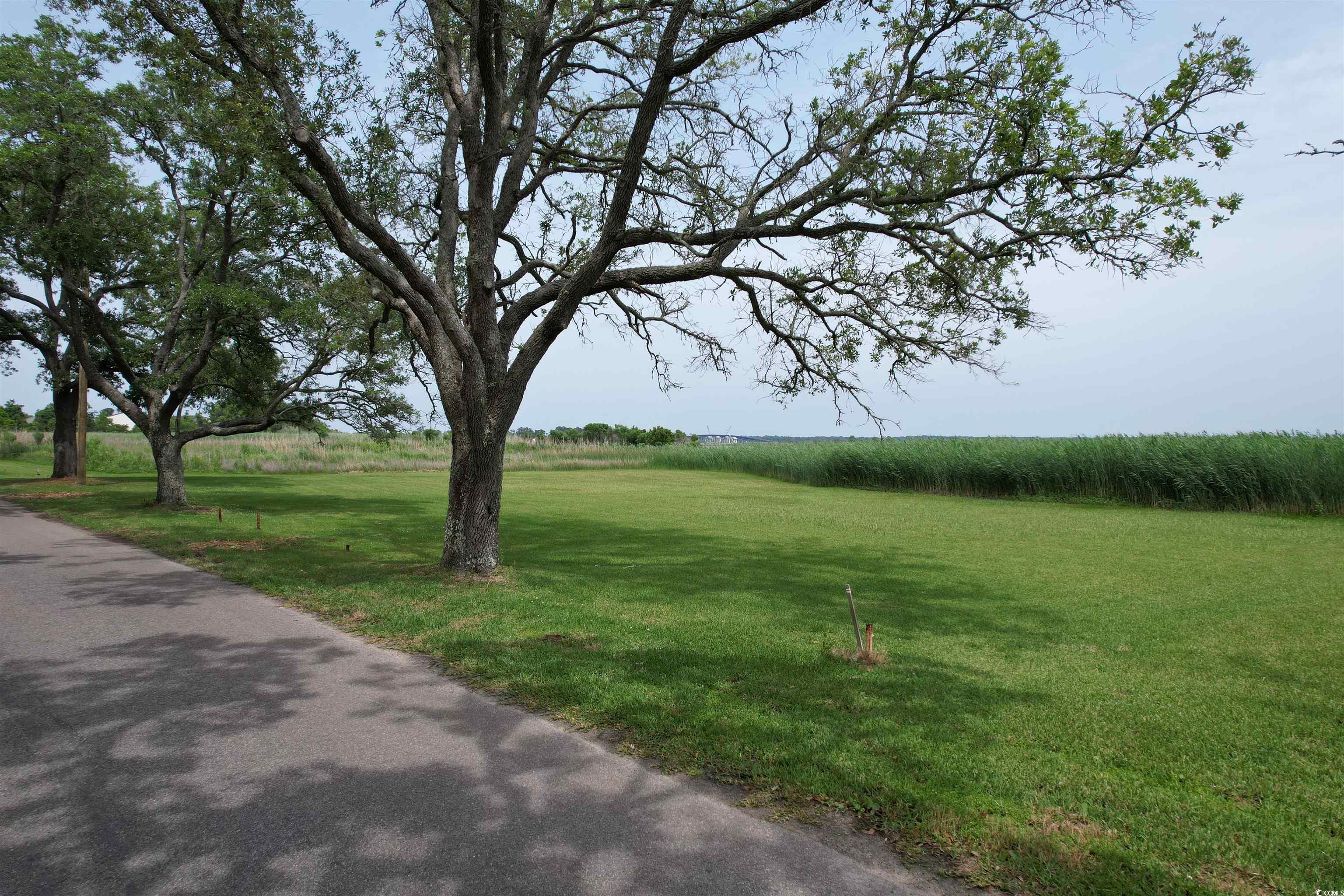 2 Lots - TBD Greenwich Dr., Georgetown, South Carolina image 6