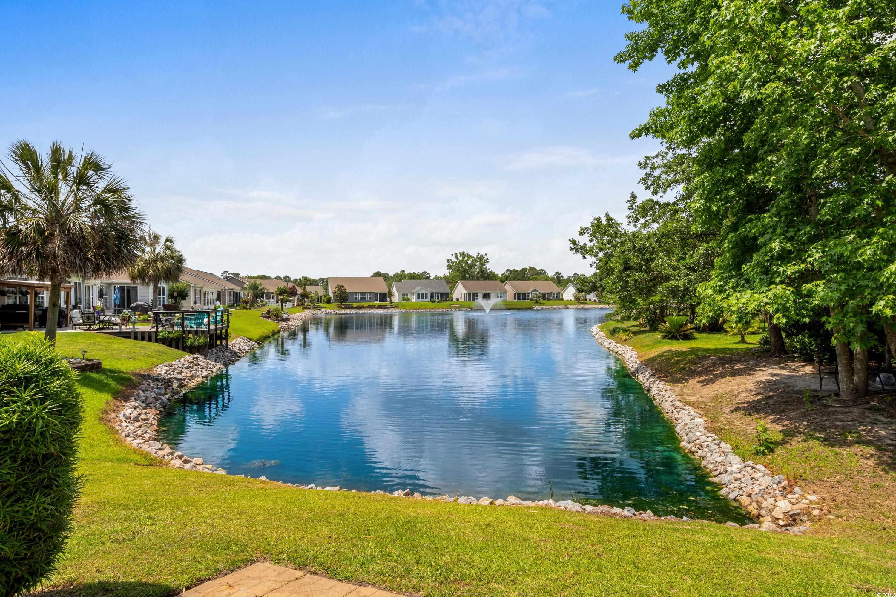 675 Vermillion Dr., Little River, South Carolina image 33