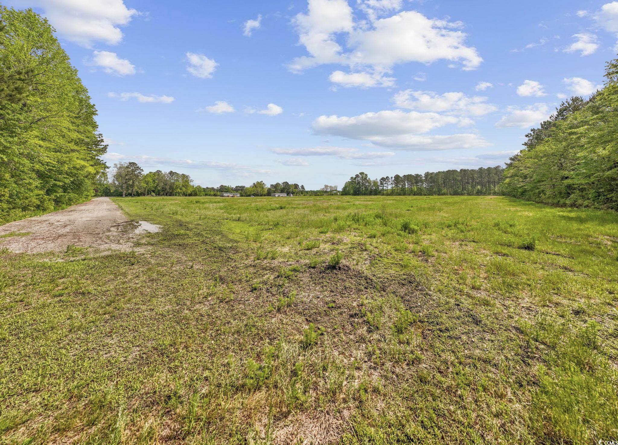 7039 Norton Rd., Green Sea, South Carolina image 3