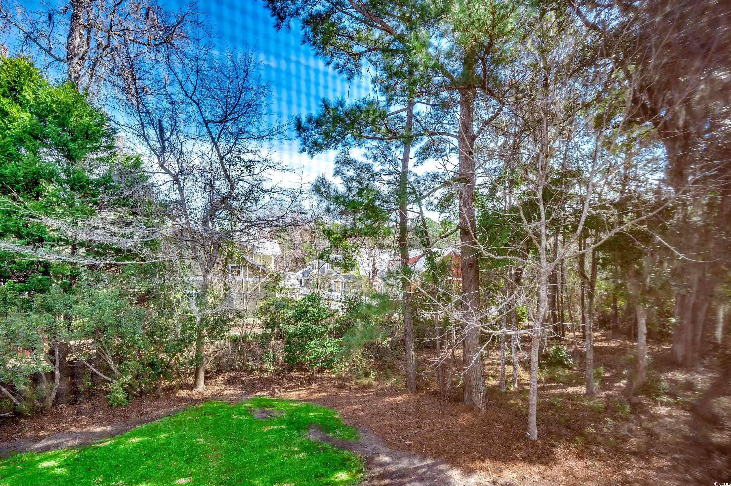 251 Egret Run Ln. #1122, Pawleys Island, South Carolina image 20