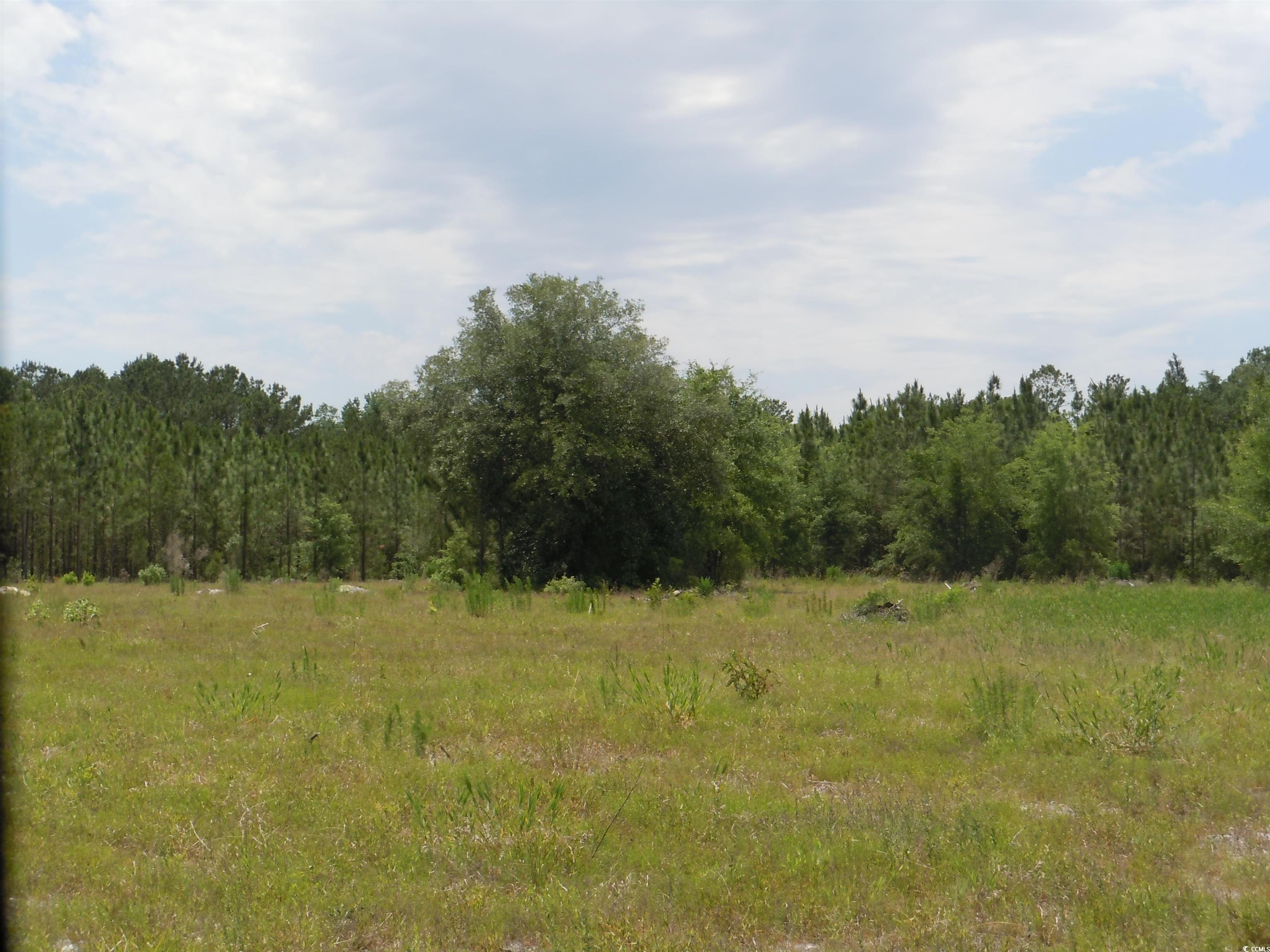 2231 Barts Rd., Loris, South Carolina image 10