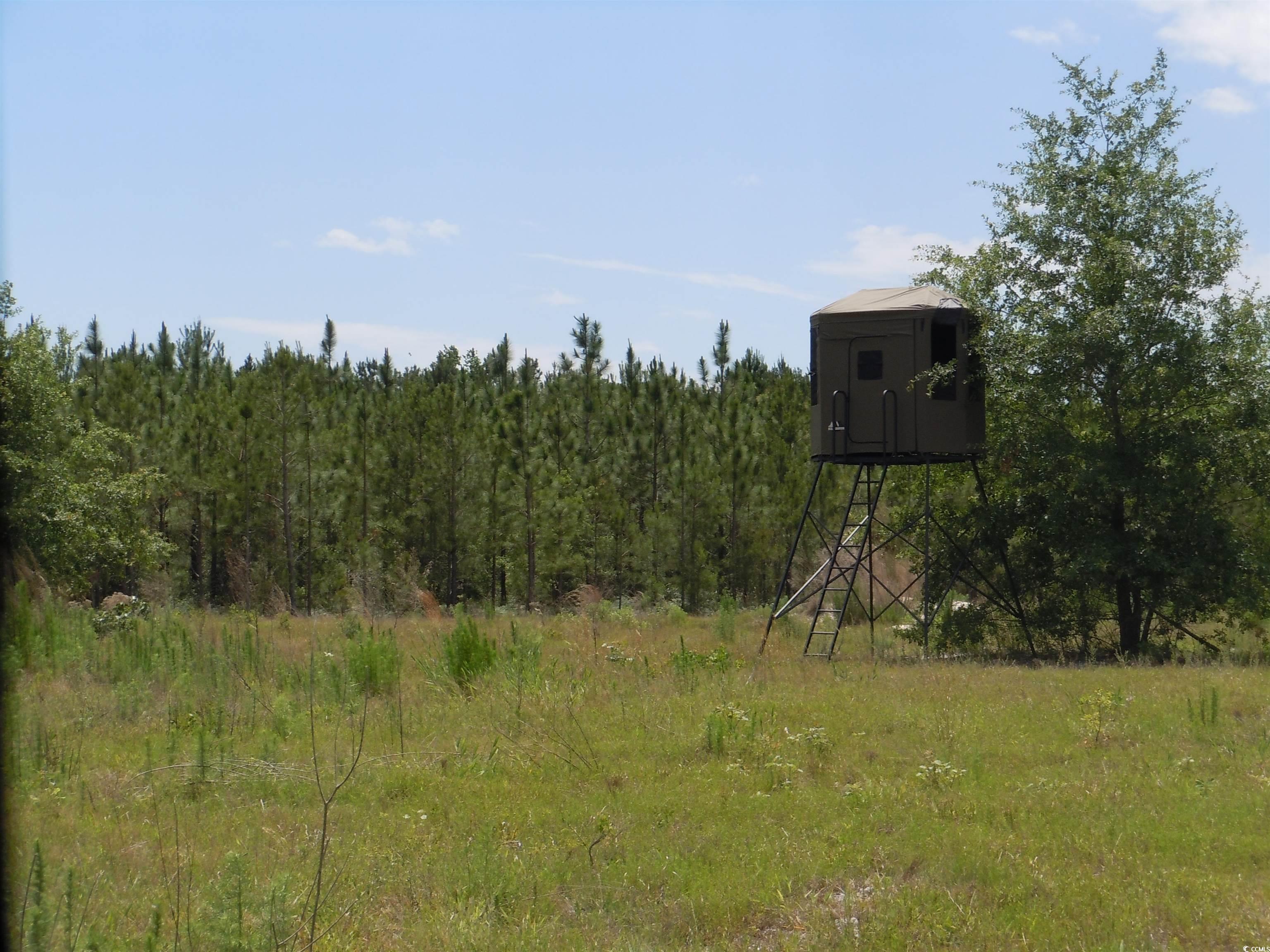 2231 Barts Rd., Loris, South Carolina image 4