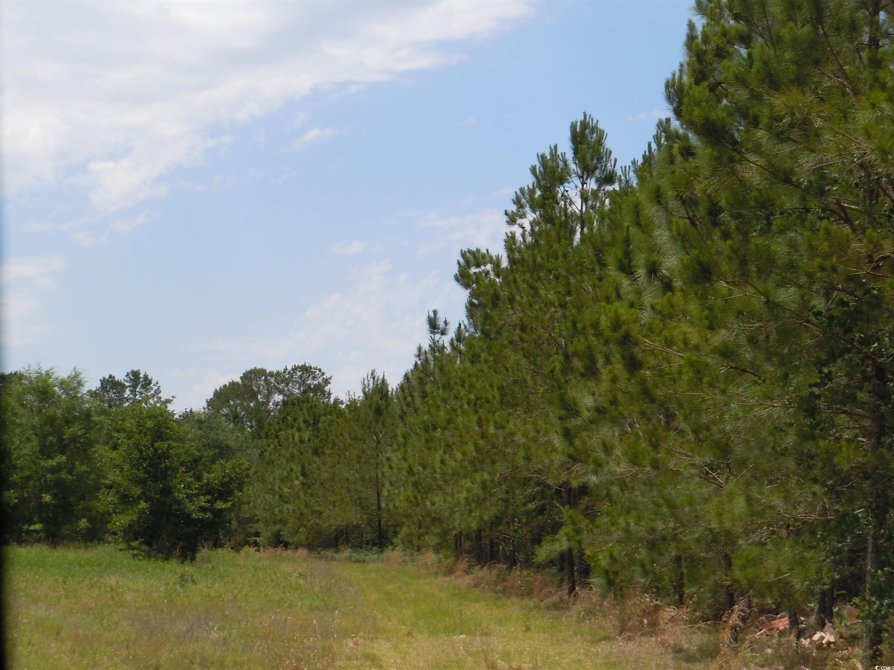 2231 Barts Rd., Loris, South Carolina image 7