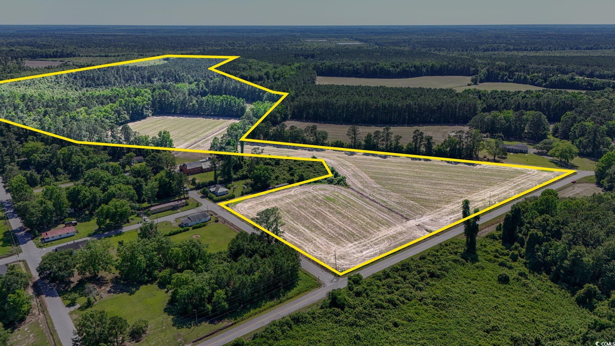 TBD Francis Gibson Rd., Centenary, South Carolina image 11