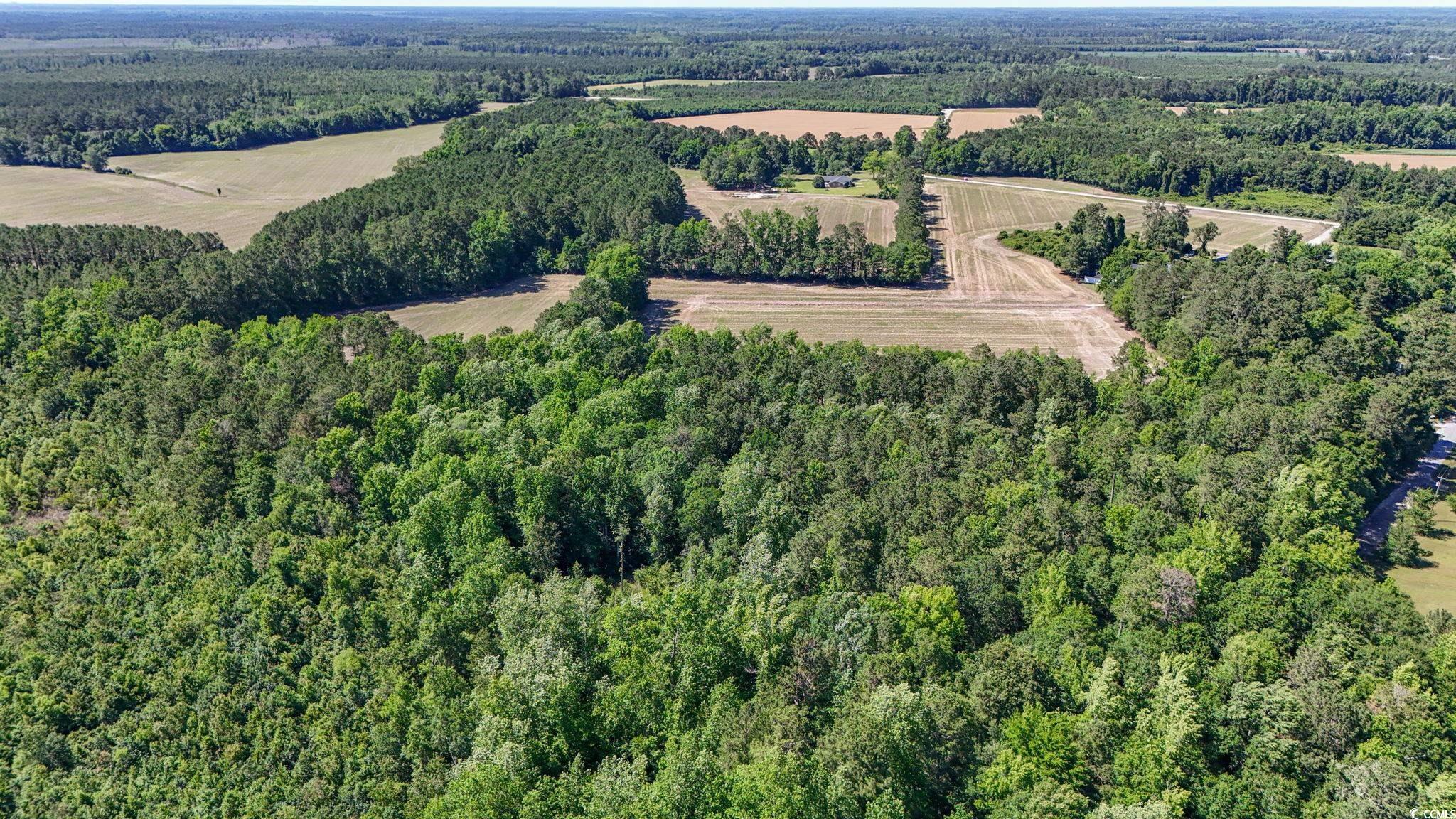 TBD Francis Gibson Rd., Centenary, South Carolina image 7