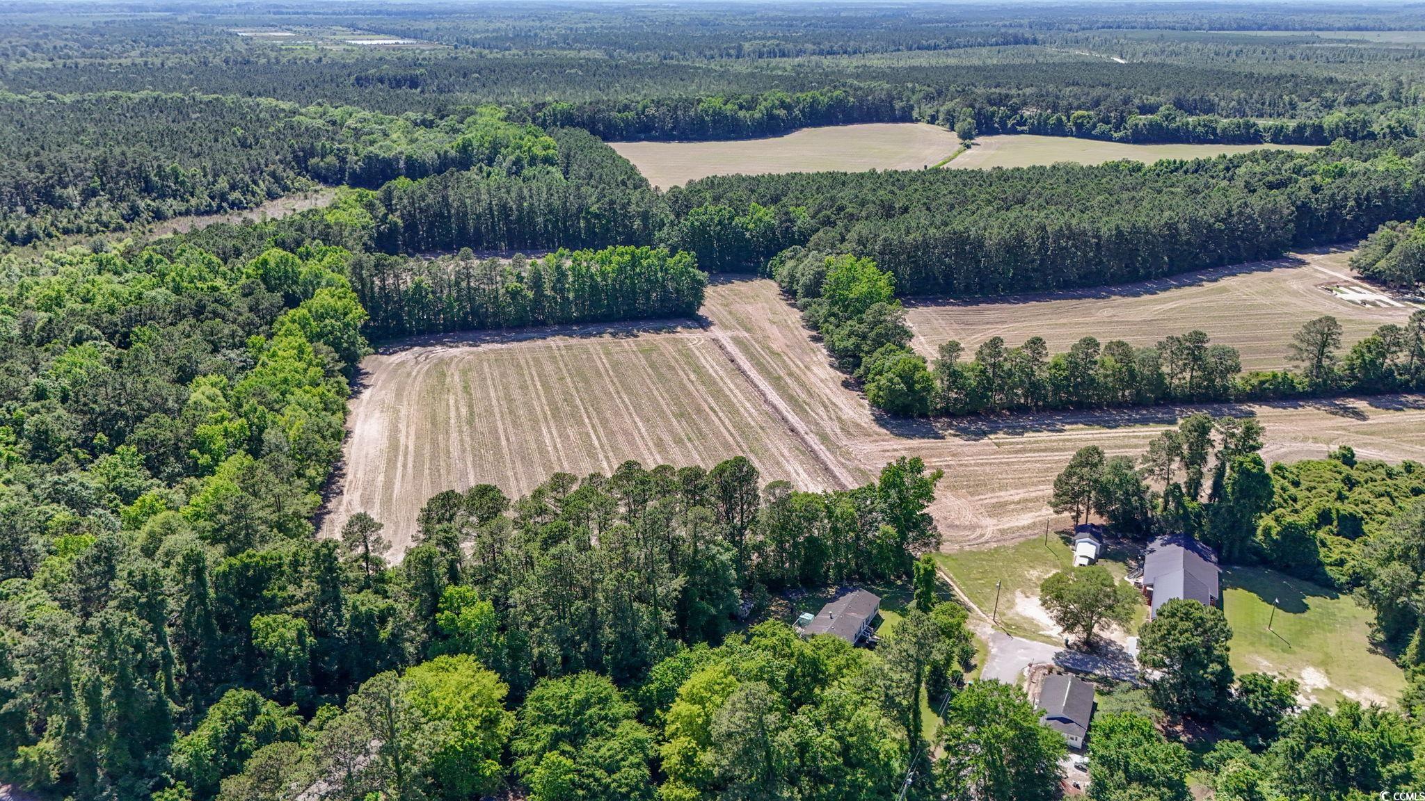 TBD Francis Gibson Rd., Centenary, South Carolina image 9