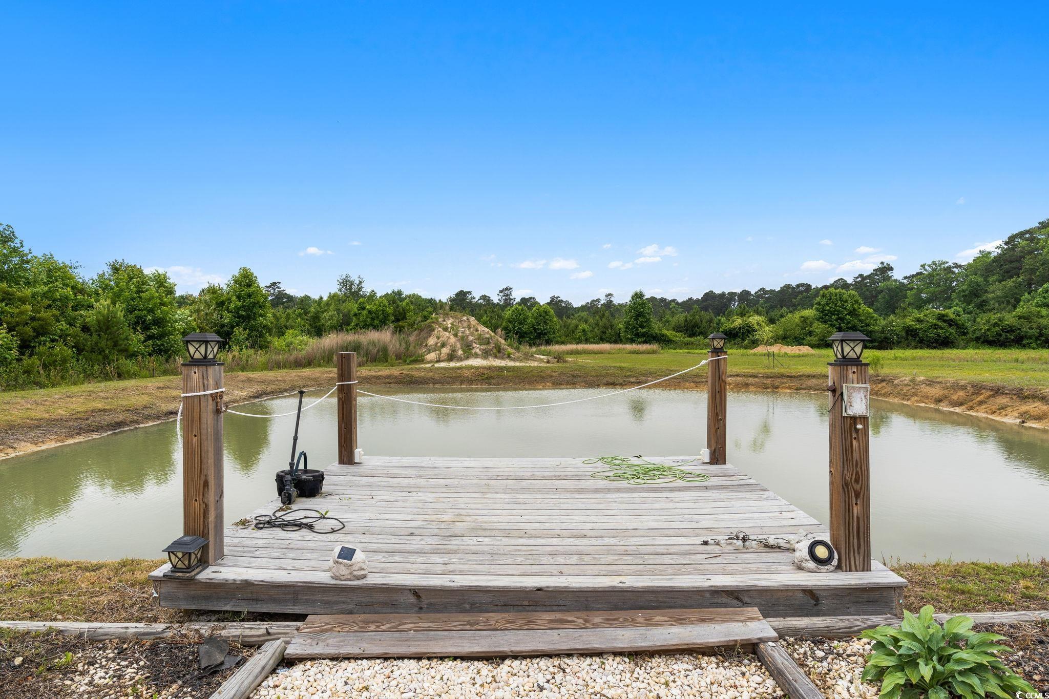 167 Dove Rd., Loris, South Carolina image 32