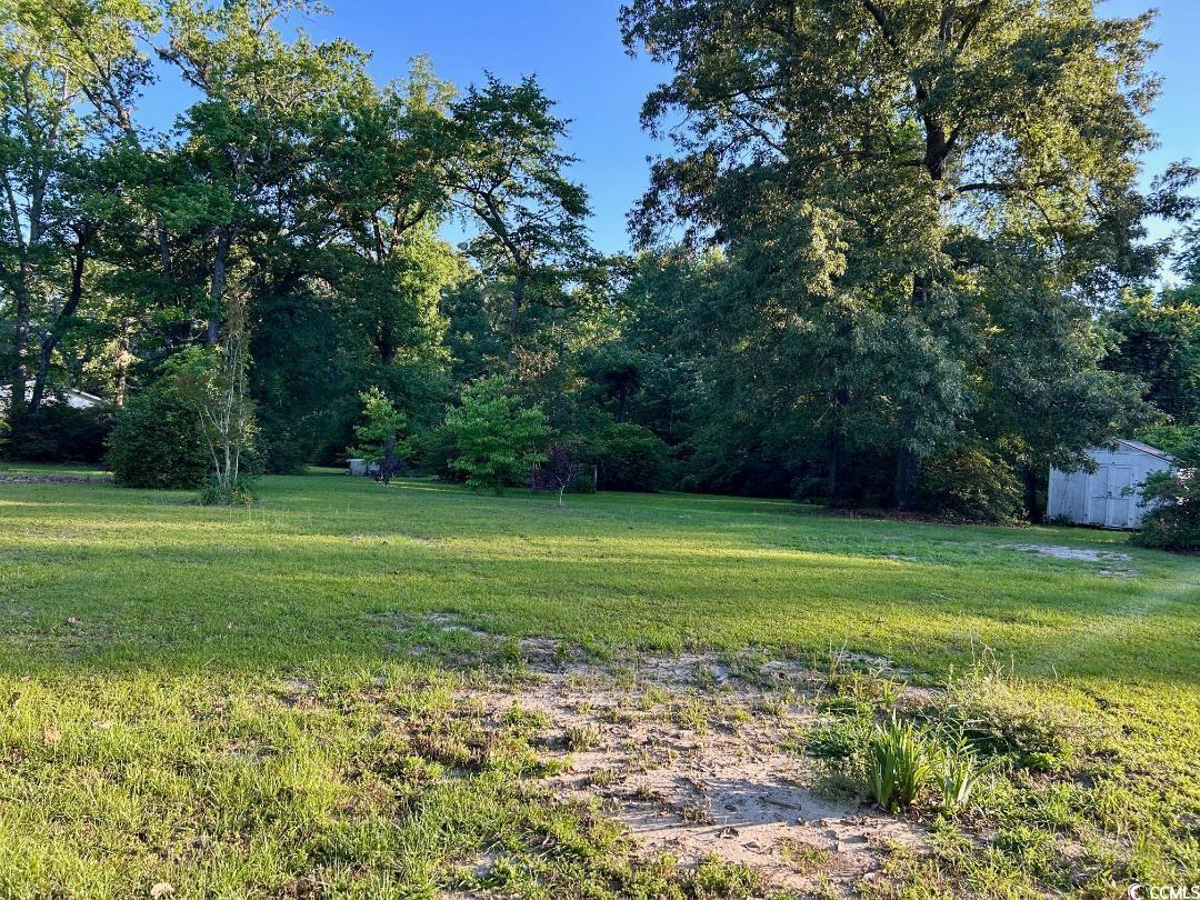 6914 Leslie Lewis Rd Mullins, SC 29574